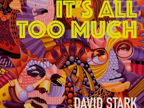 David Stark - It's All Too Much