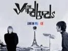 The Yardbirds - Live In France CD &amp; Deluxe vinyl released 07/05/21