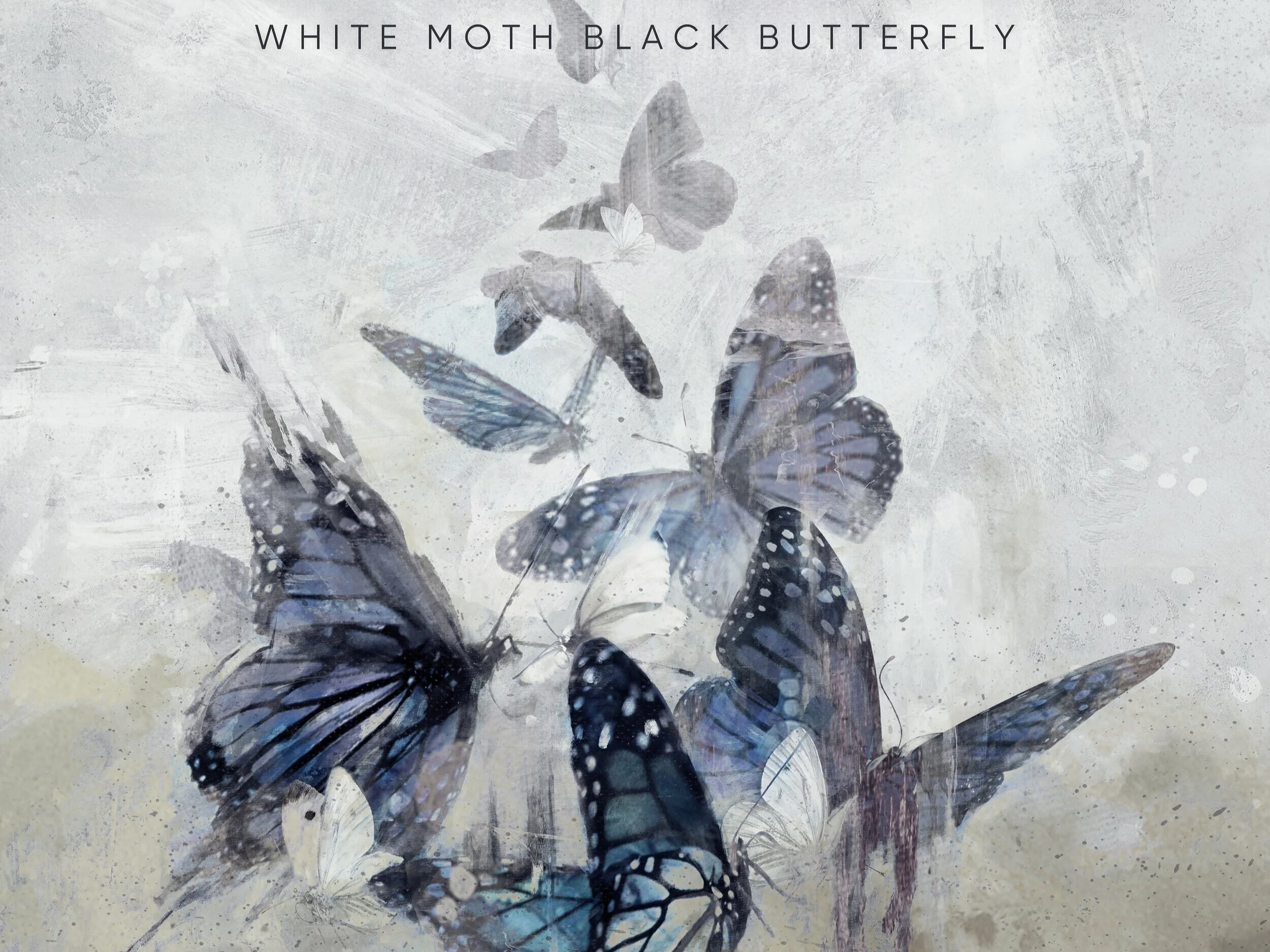 White Moth Black Butterfly return with The Cost Of Dreaming 28/05/21