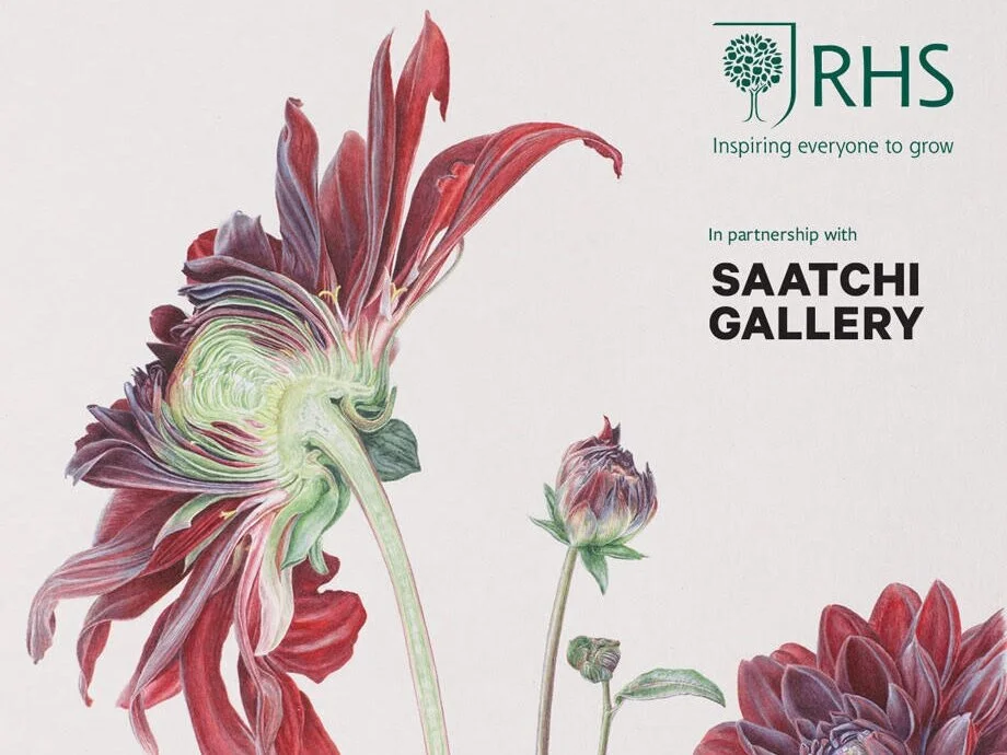 RHS Botanical Art &amp; Photography Show