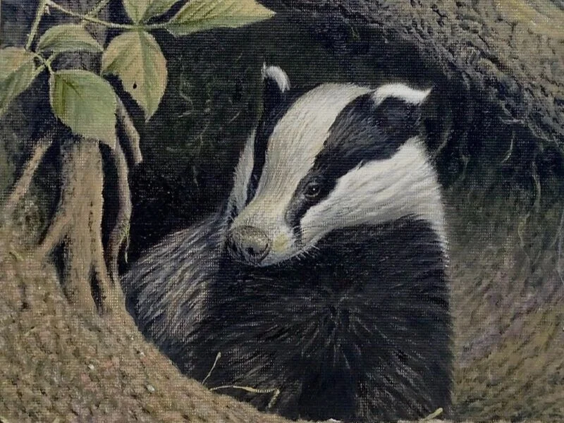 Mall Galleries - The Natural Eye: Society Of Wildlife Artists Annual Exhibition