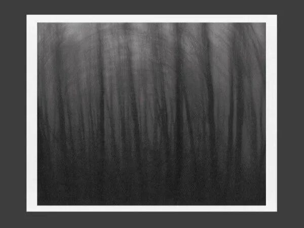 Talk Talk, Pink Floyd, Dire Straits Veterans Unite on New Instrumental Project, Held By Trees