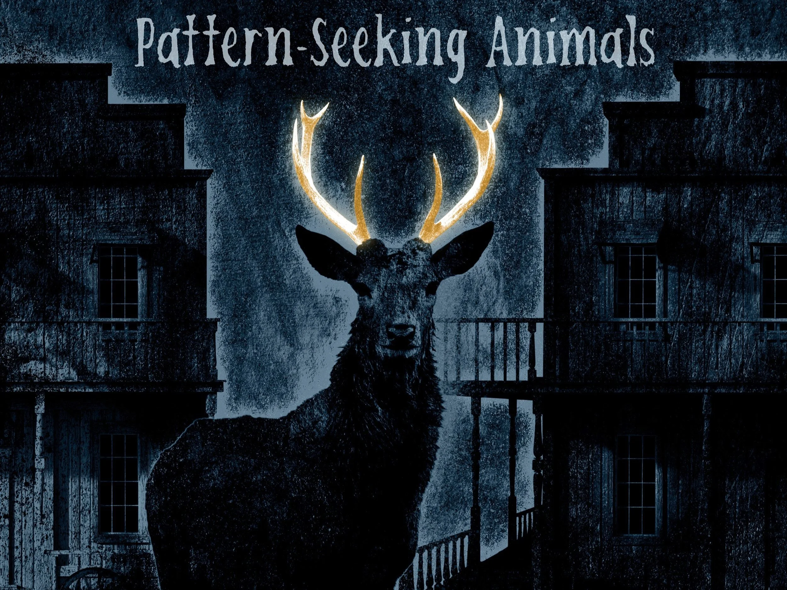 Pattern Seeking Animals announce third studio album Only Passing Through