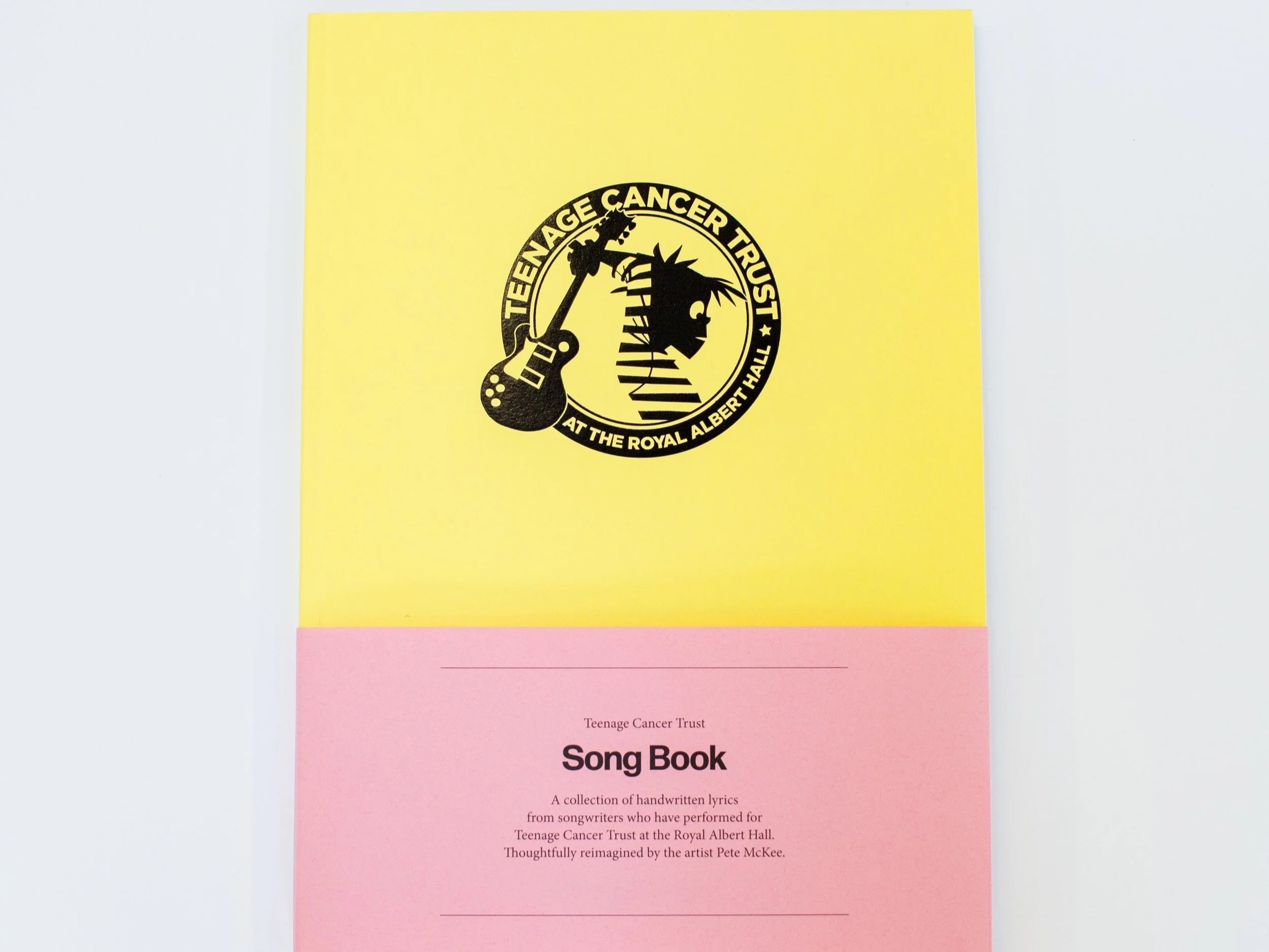 Teenage Cancer Trust Songbook by artist Pete McKee 