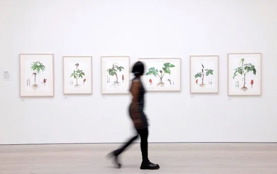RHS Botanical Art &amp; Photography Show 2022 Winners Announced
