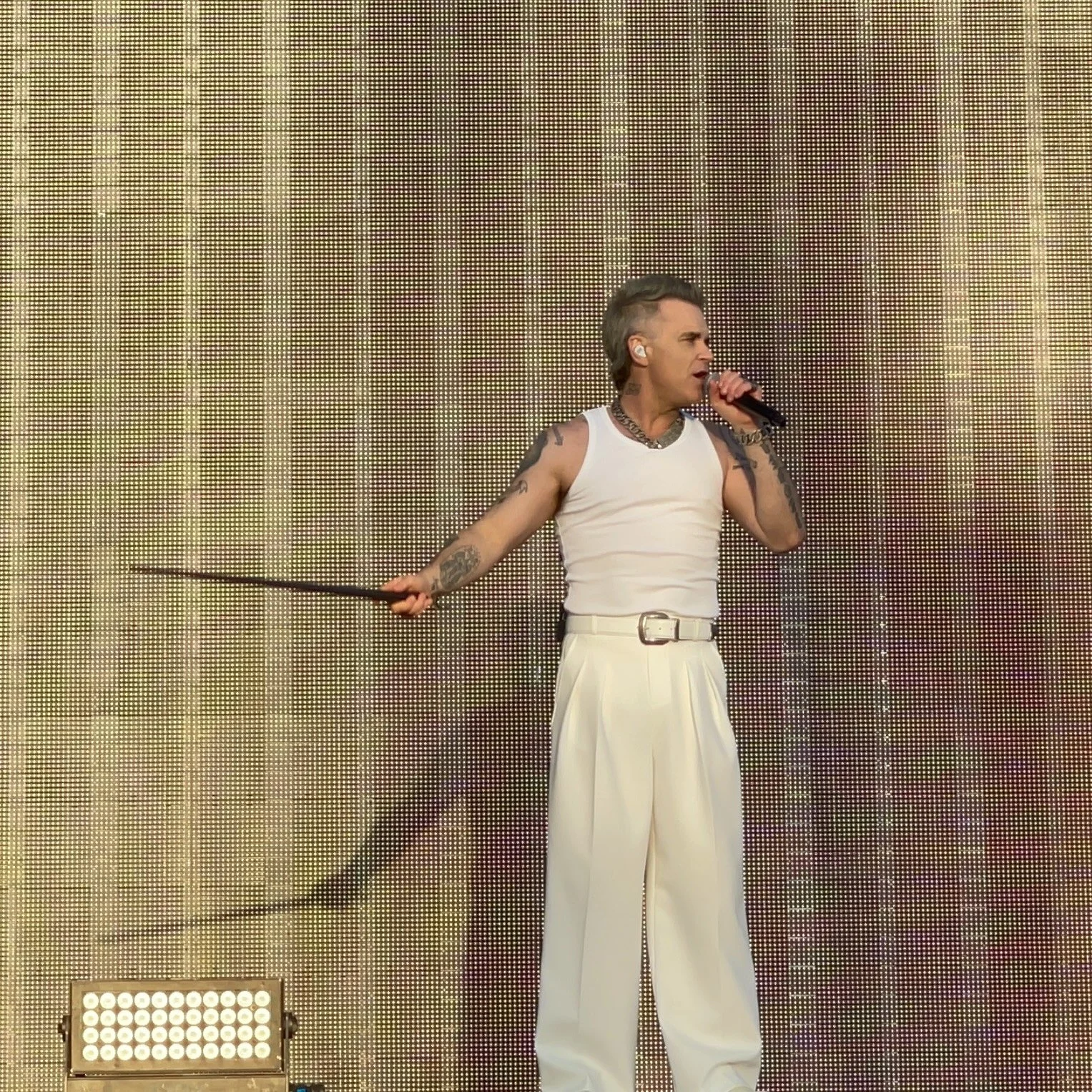 Robbie Williams live at BST Hyde Park