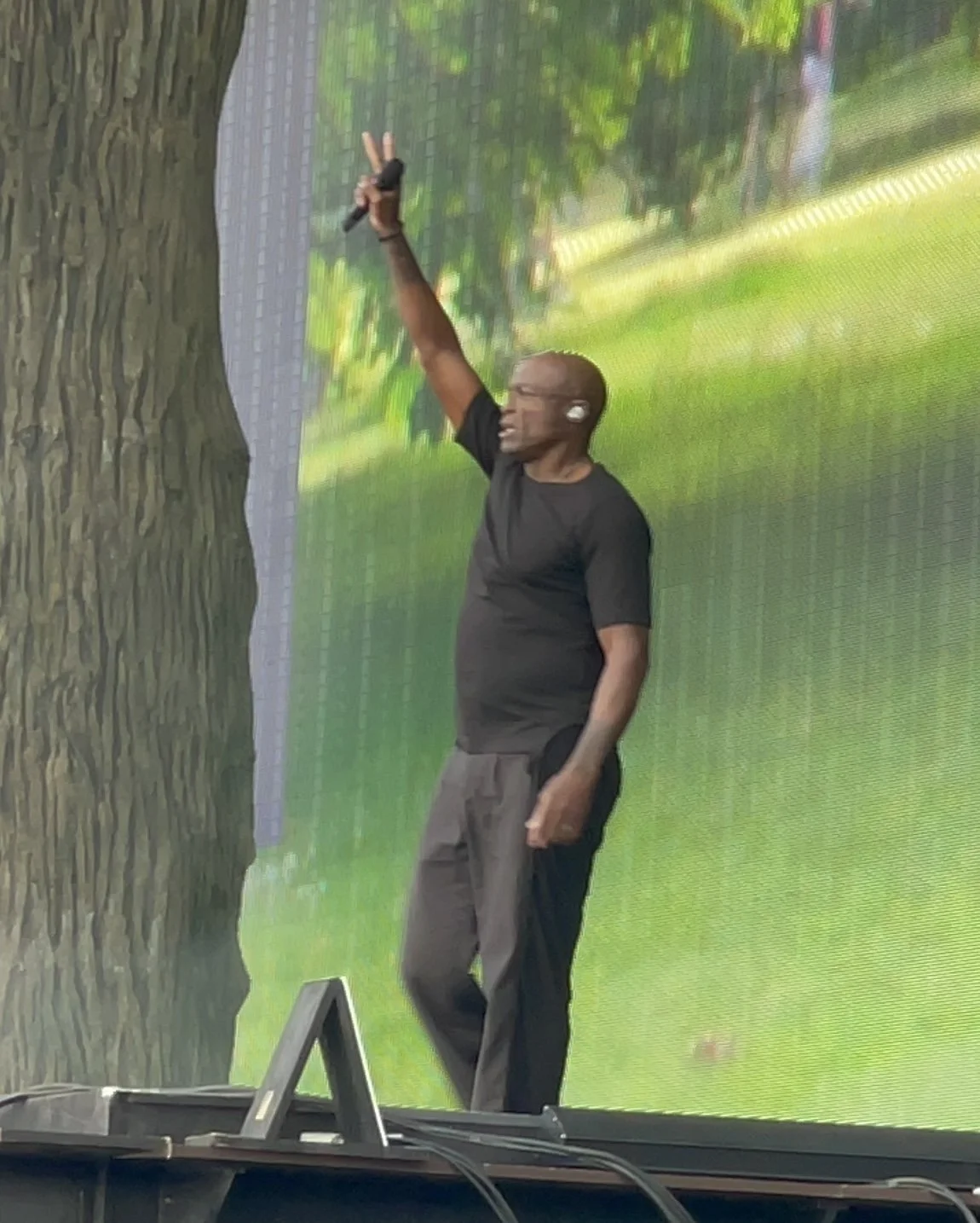 Seal - Live at BST Hyde Park