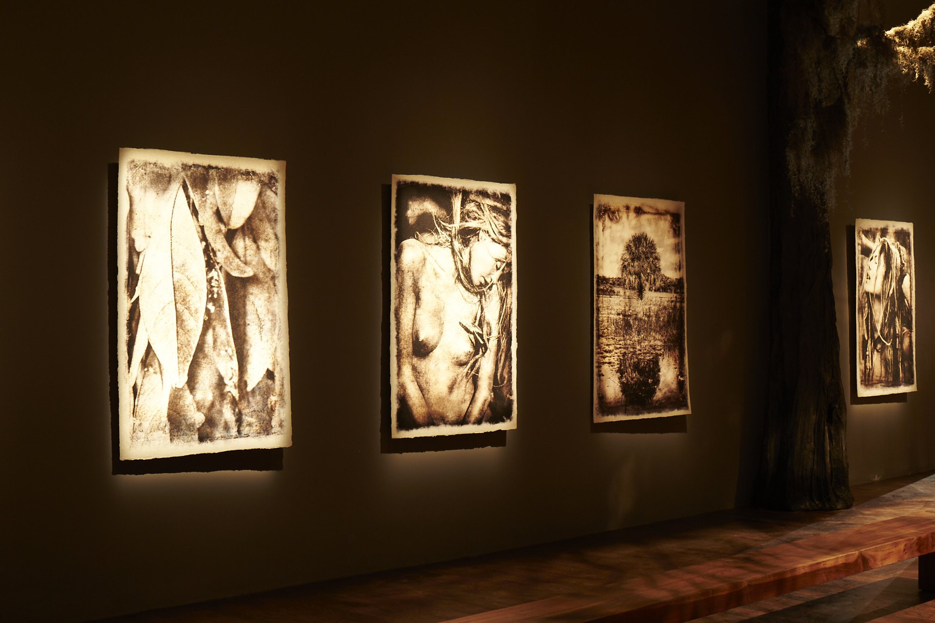 03_Seminole_Exhib_finished_gallery_106.jpg