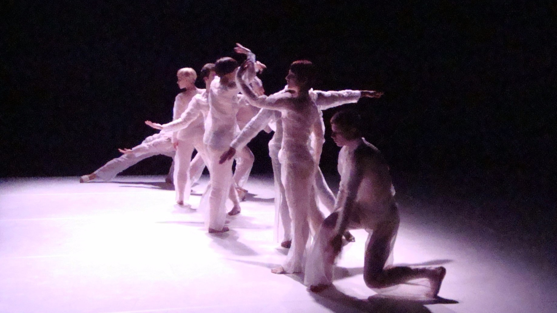 José Navas/Compagnie Flak (2006-2017)