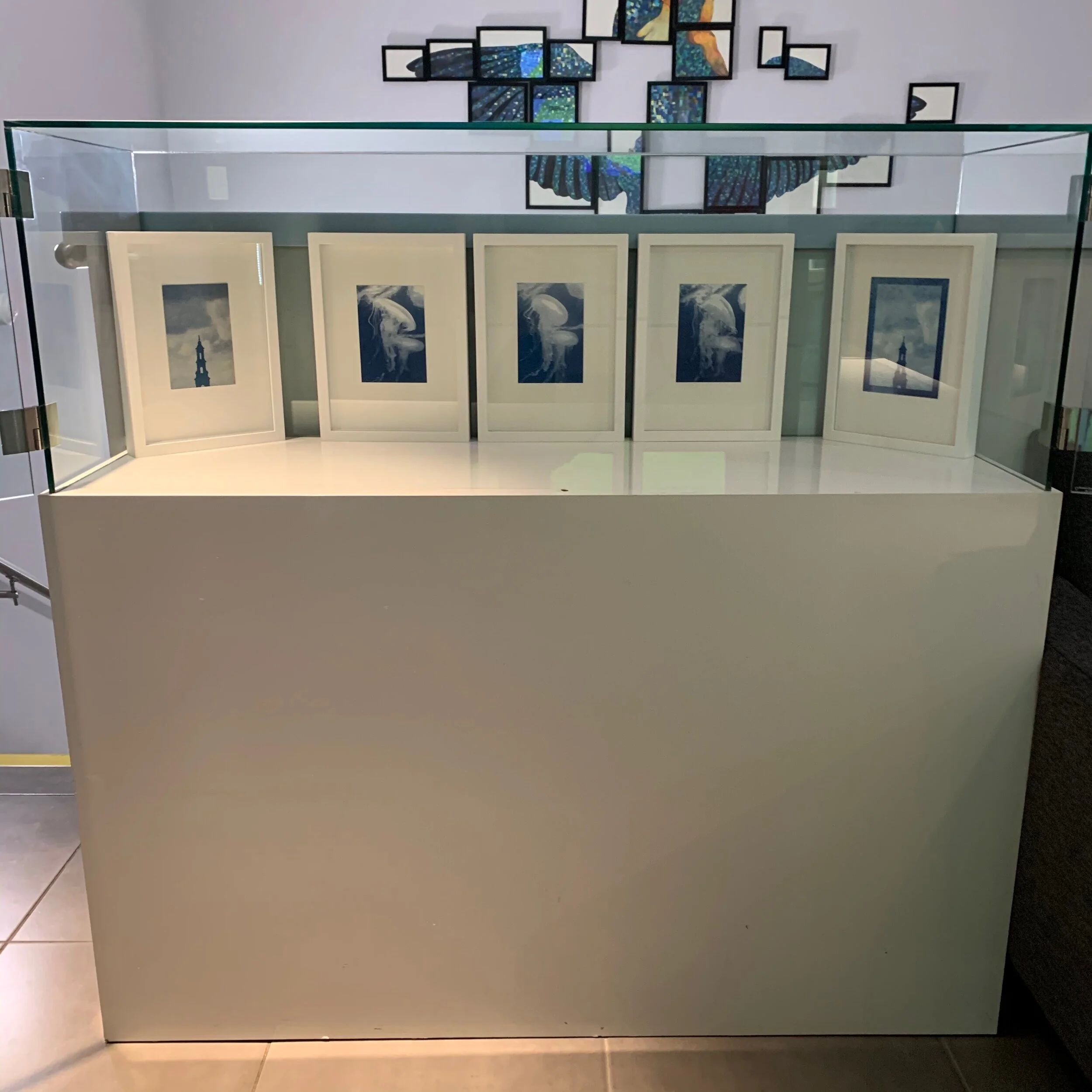 Cyanotype Micro-show