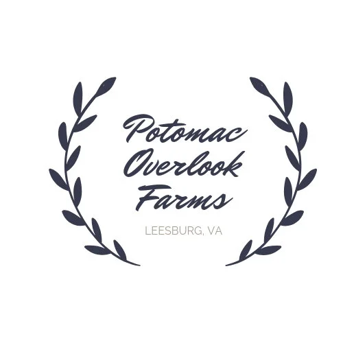 Logo Draft (1).jpg