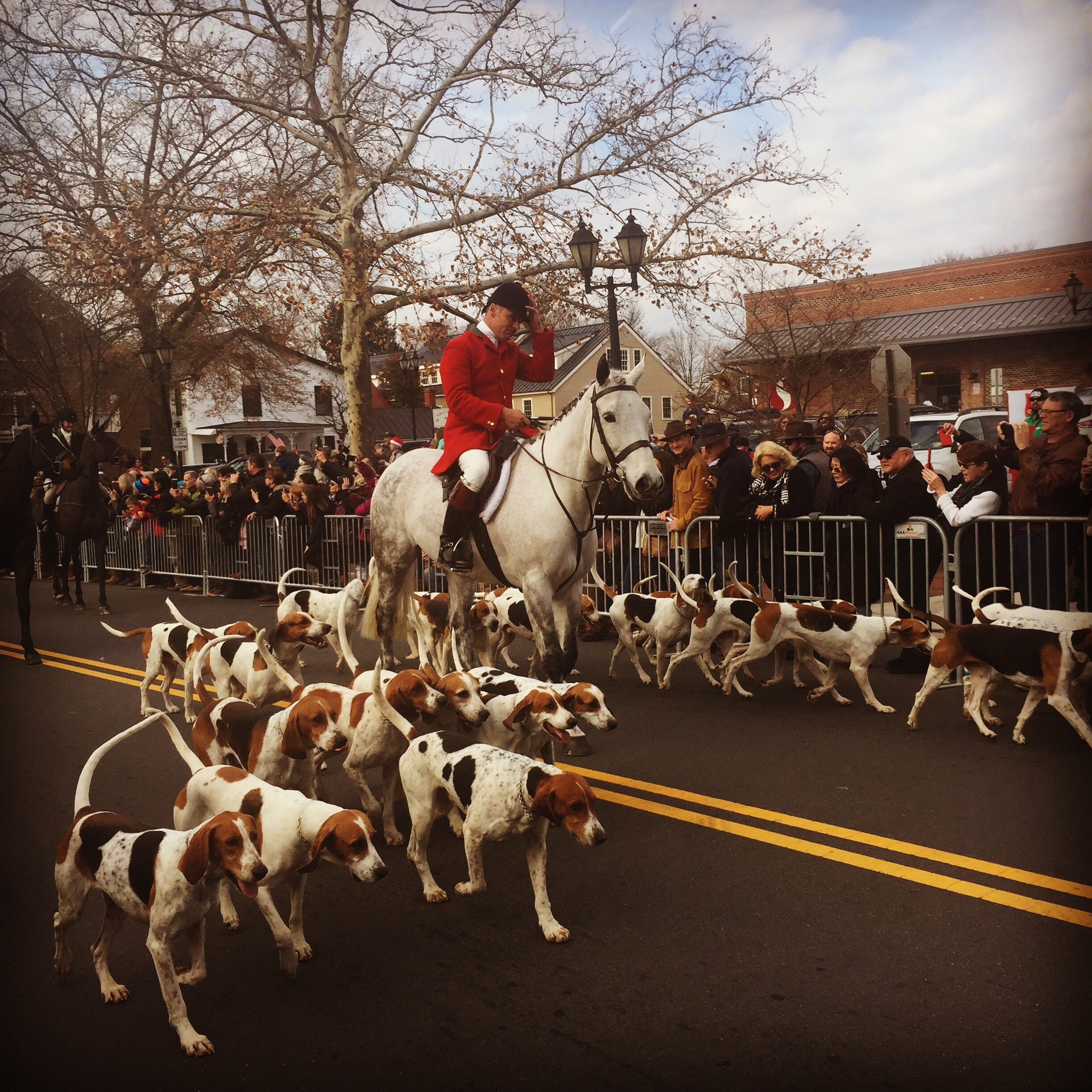 Photo: Middleburg Hunt Parade by Krista Beck