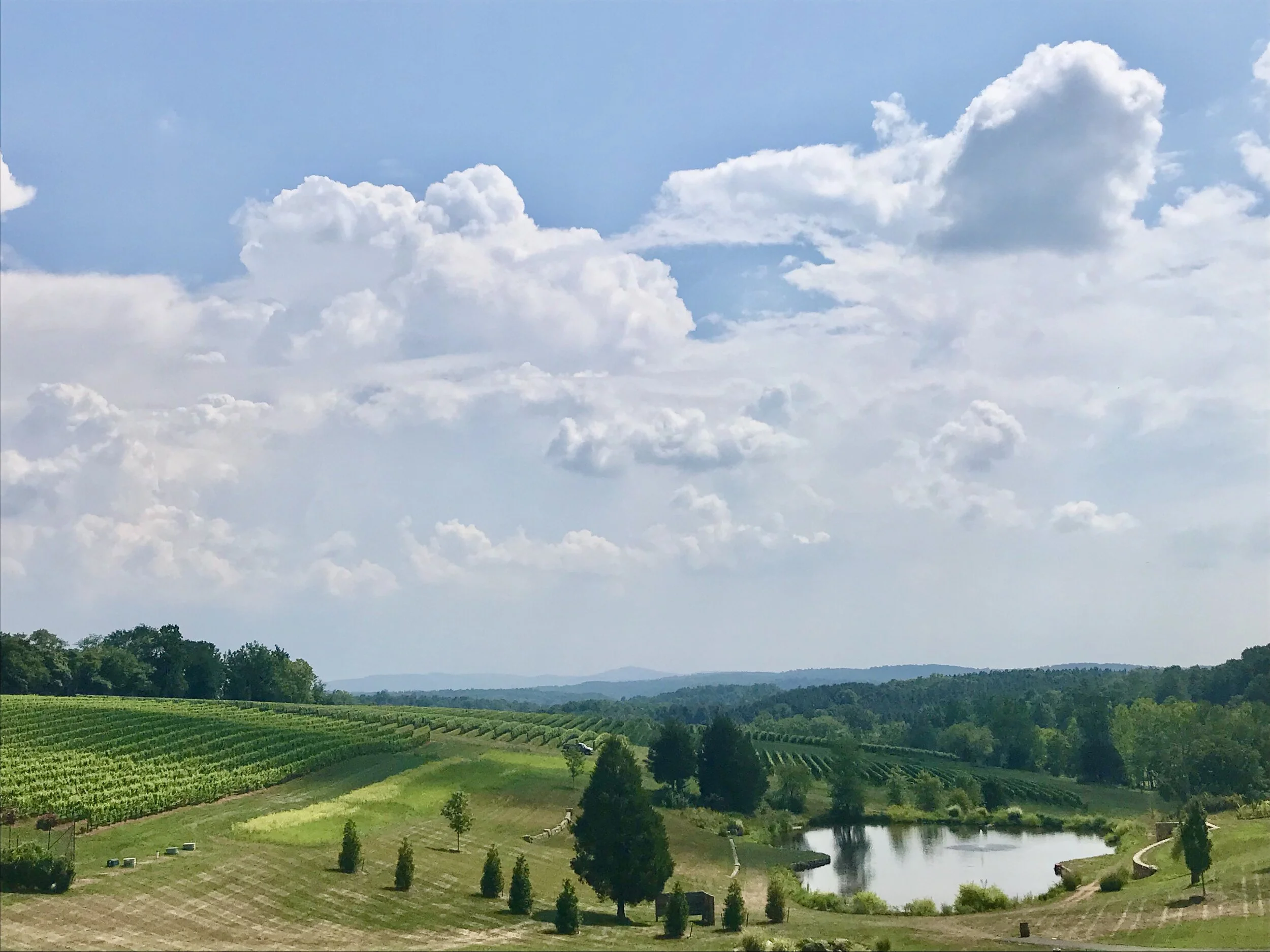 Kickstart Your Visit To Loudoun County, Virginia