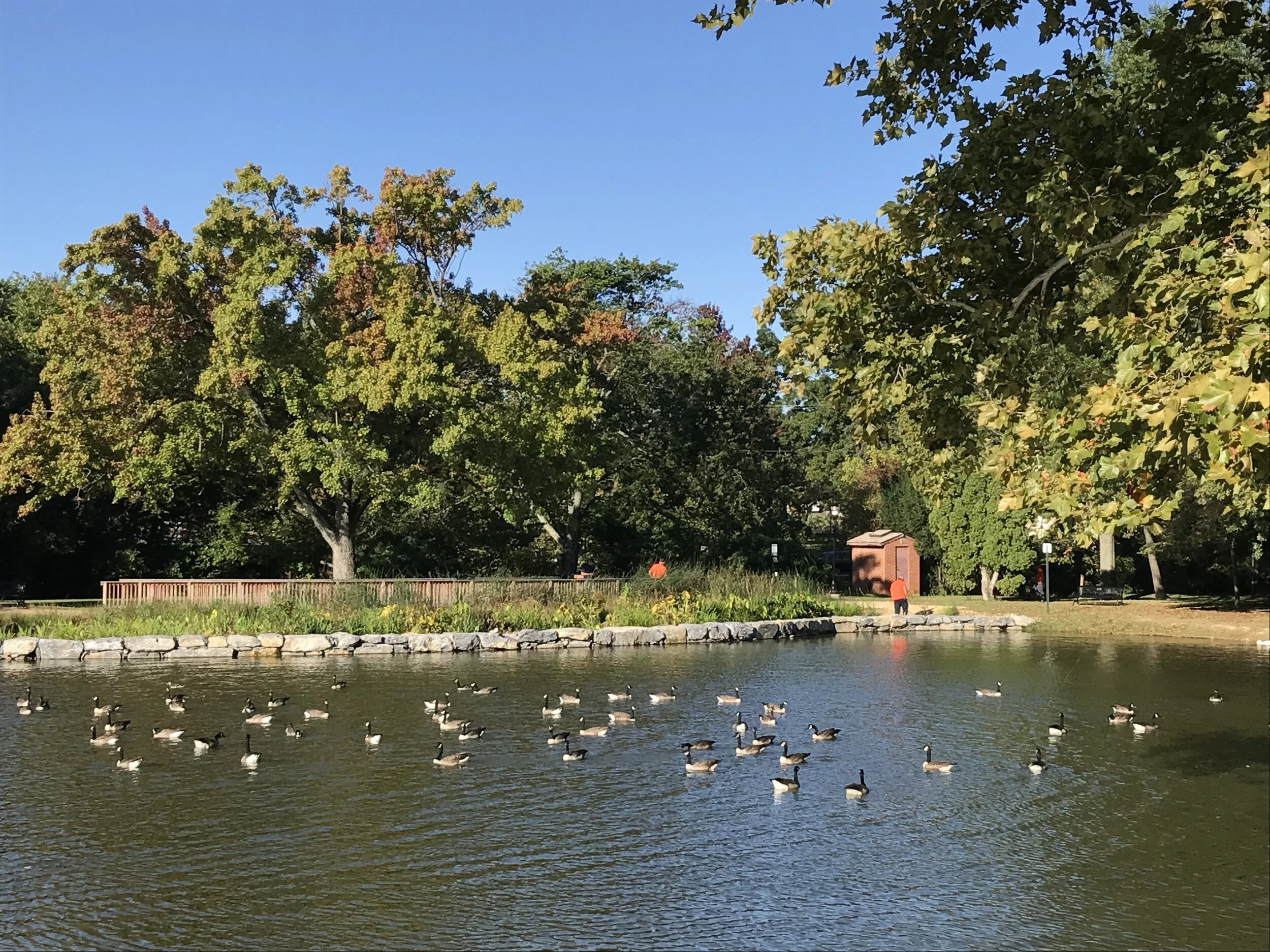 Day Trip Series: Historic Frederick, MD