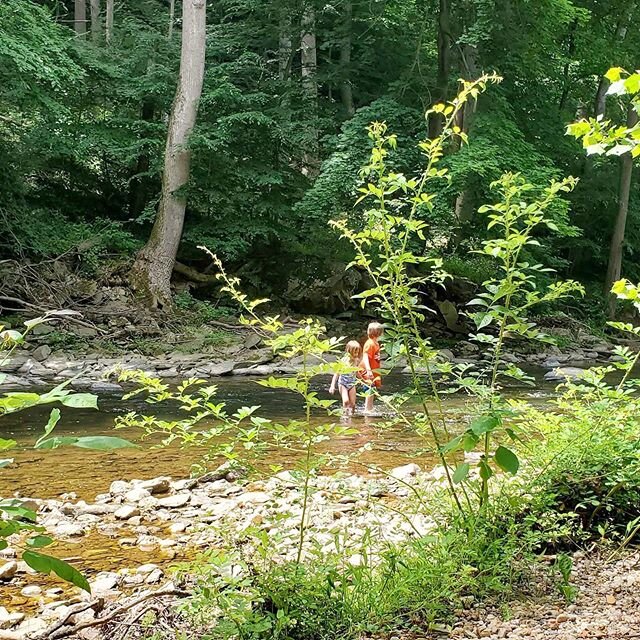 Part of what makes our area wonderful is access to many outdoor experiences. We took an adventure yesterday to Catoctin Creek Park and Nature Center neat Middletown, MD. The beauty and bustle of nature; fresh air; and silence were soothing to the min