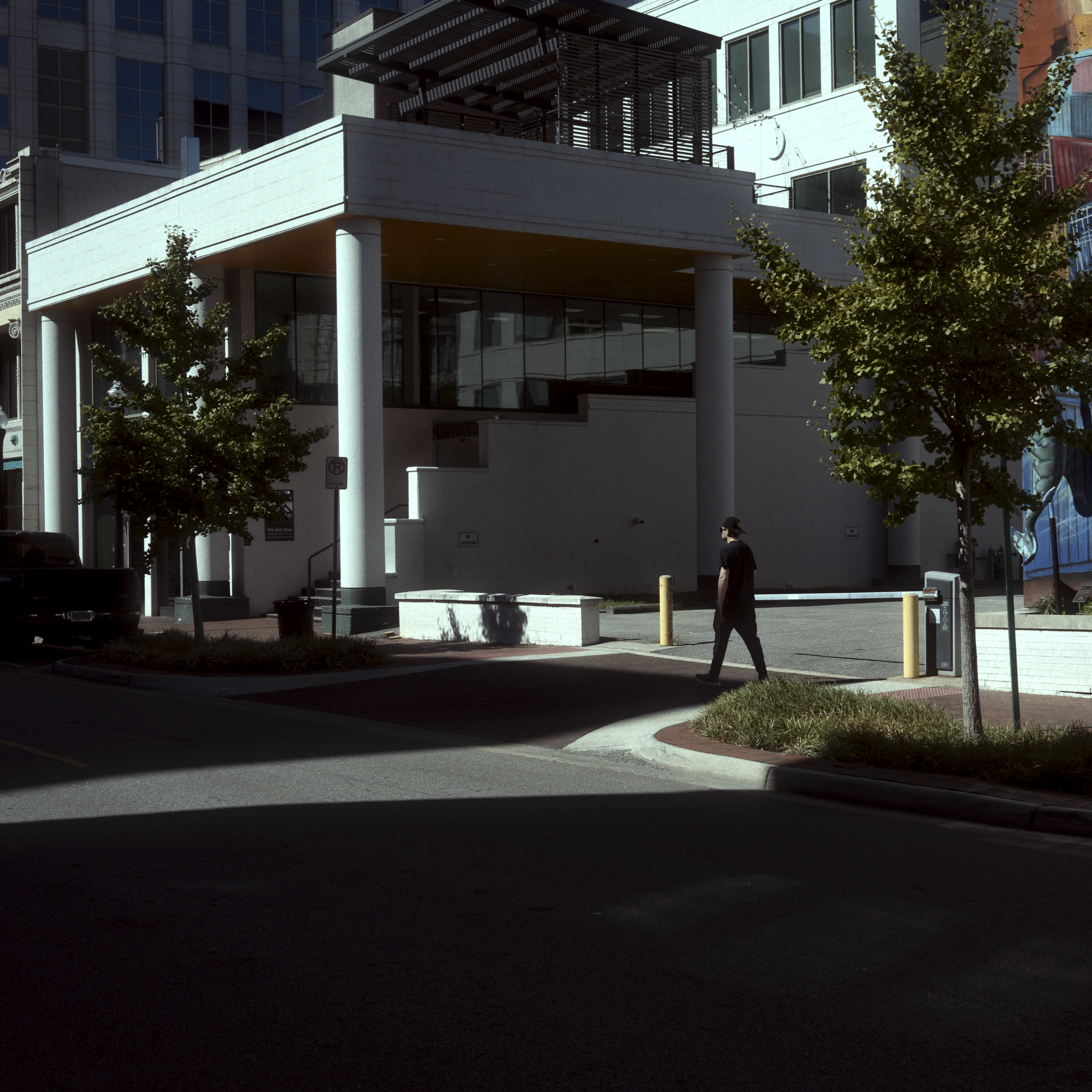 Norfolk Compress-3.png