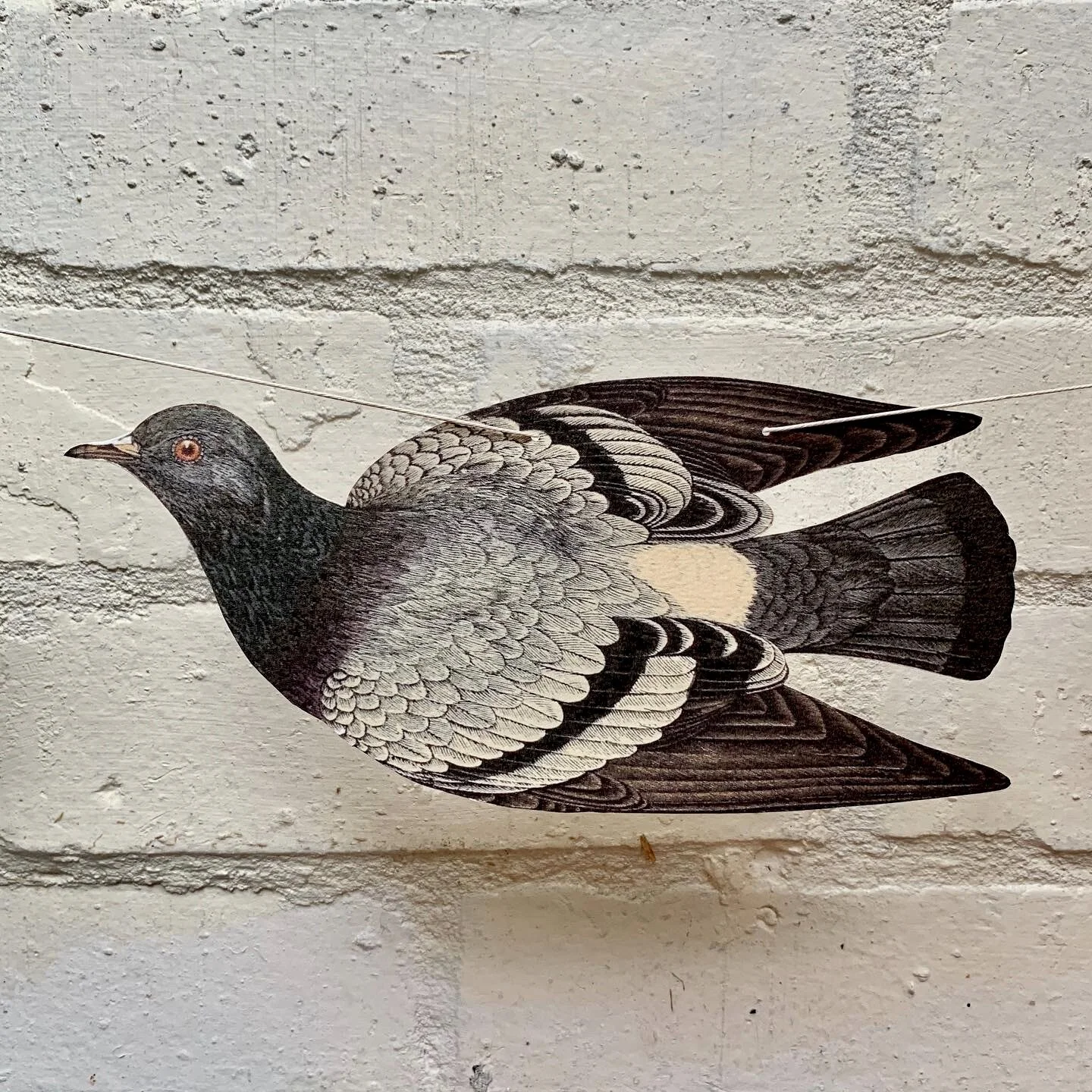 Pigeon-print-cutout-vintage