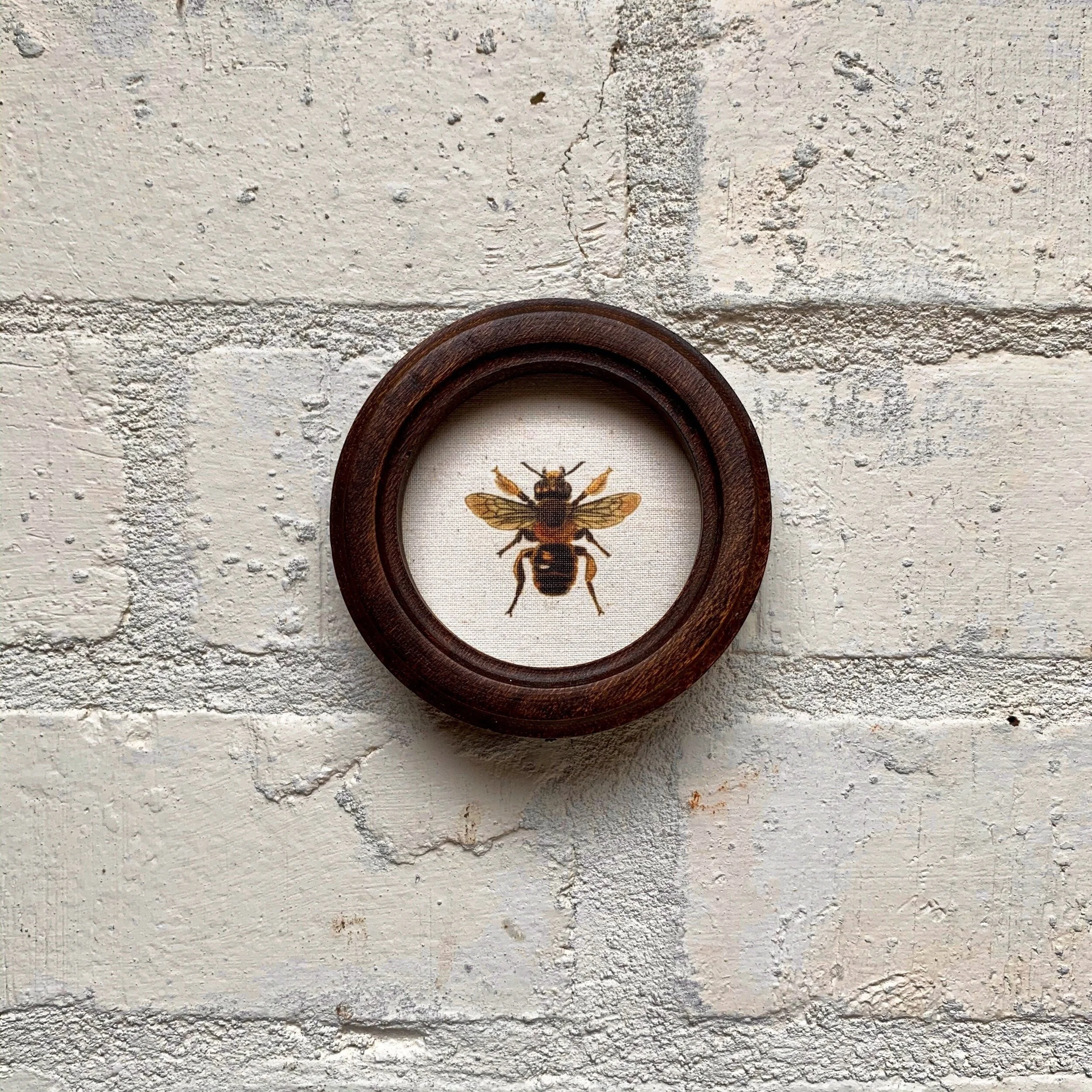 Bee print in hardwood frame