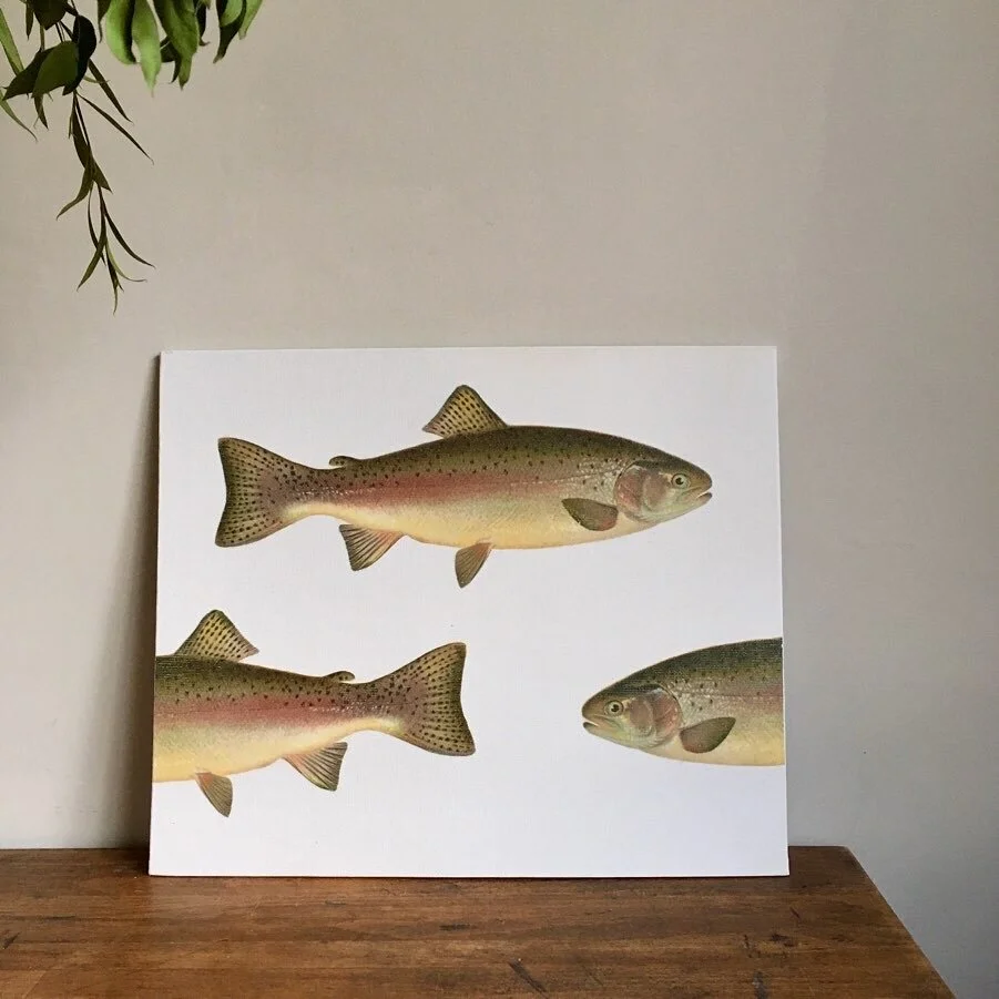 Kettle of Fish Designs Eclectic Vintage Style for Interiors