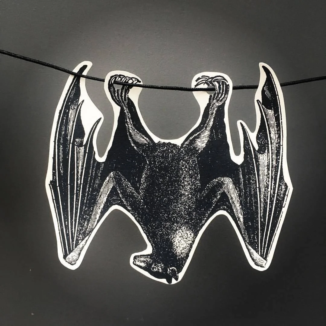 0E3368C5-FE41-4E17-99D7-2405EE8AD7A5