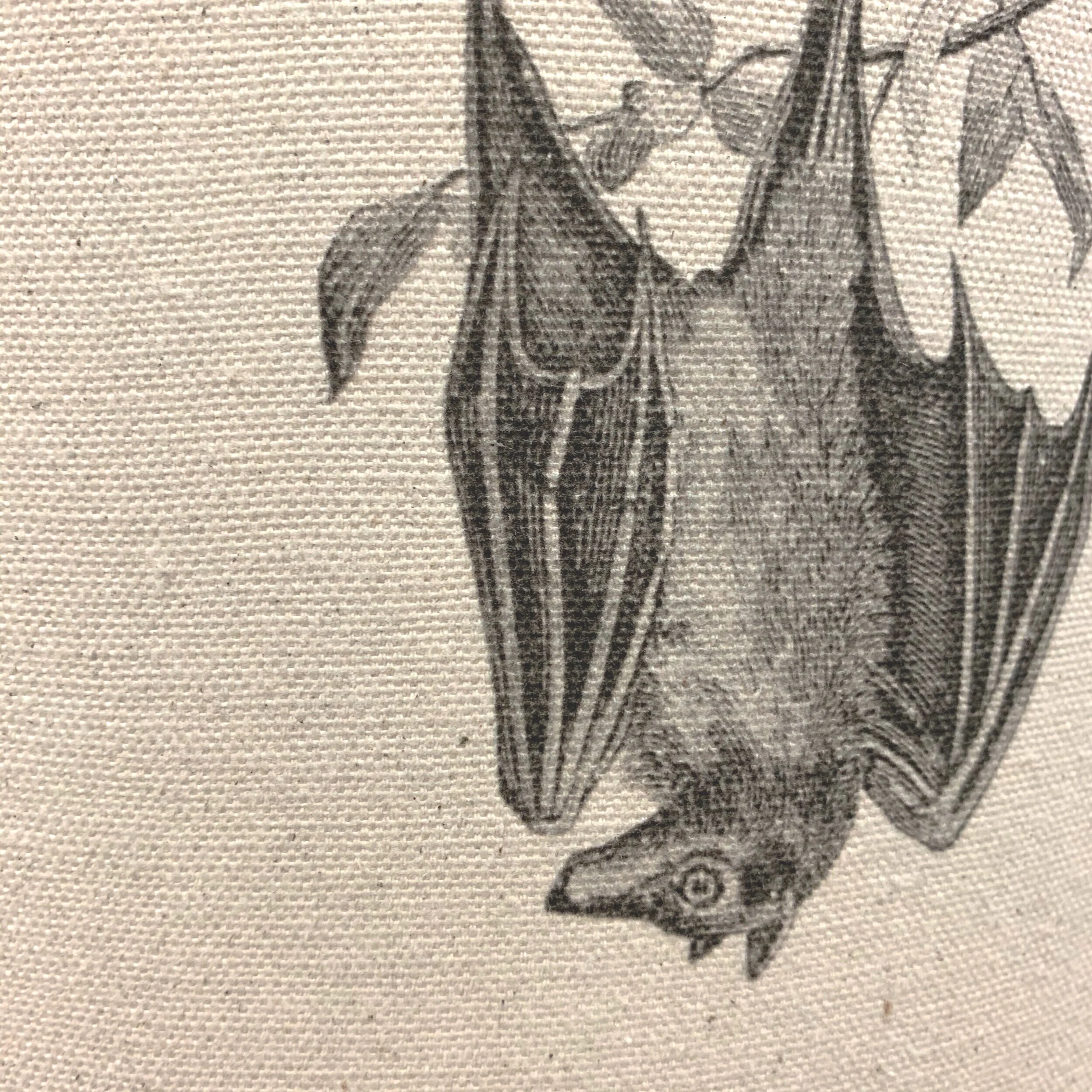 37612E2E-FE70-4319-926A-43B86075F5E0