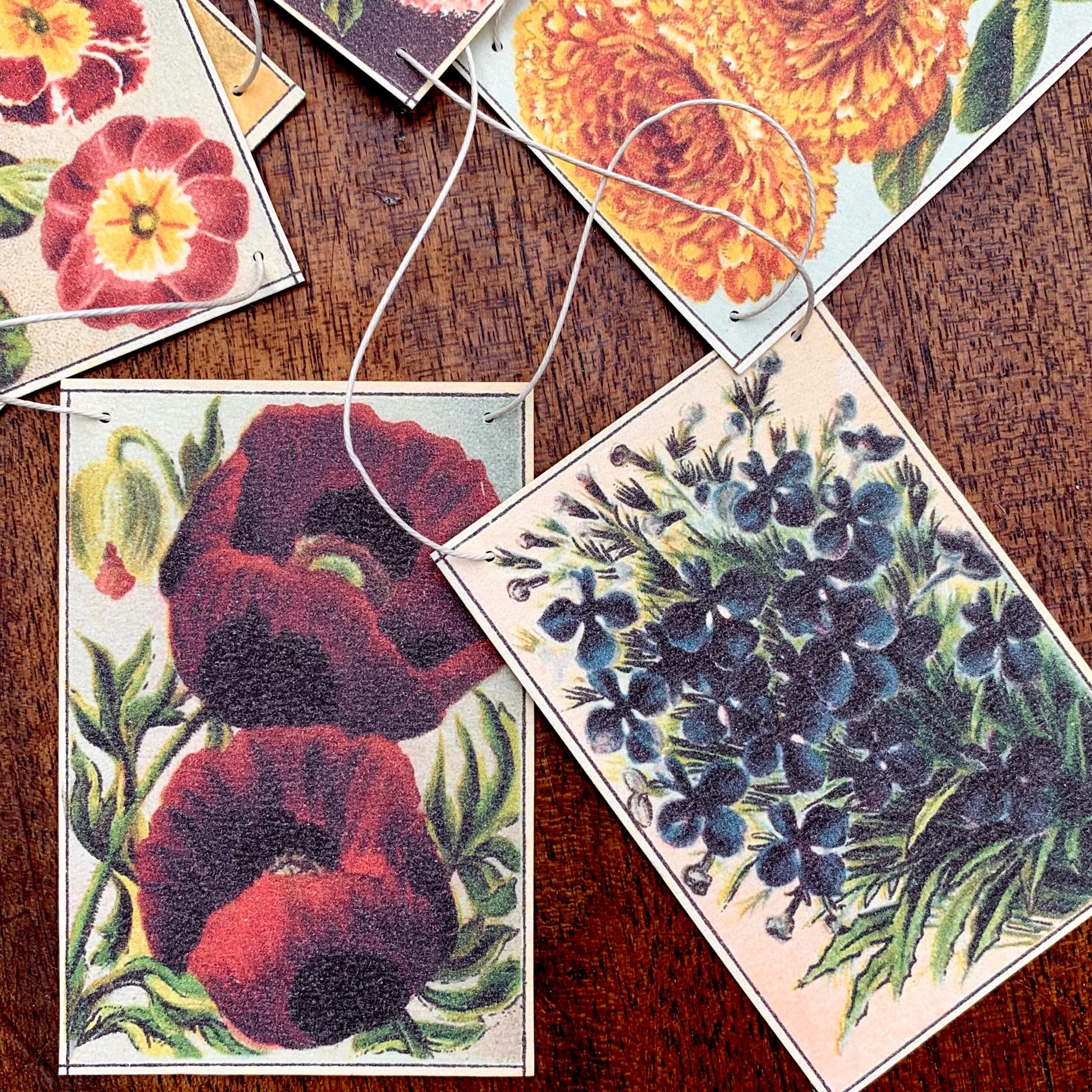 EF43CC9C-360F-4B46-BA1A-C9E9F247F72E