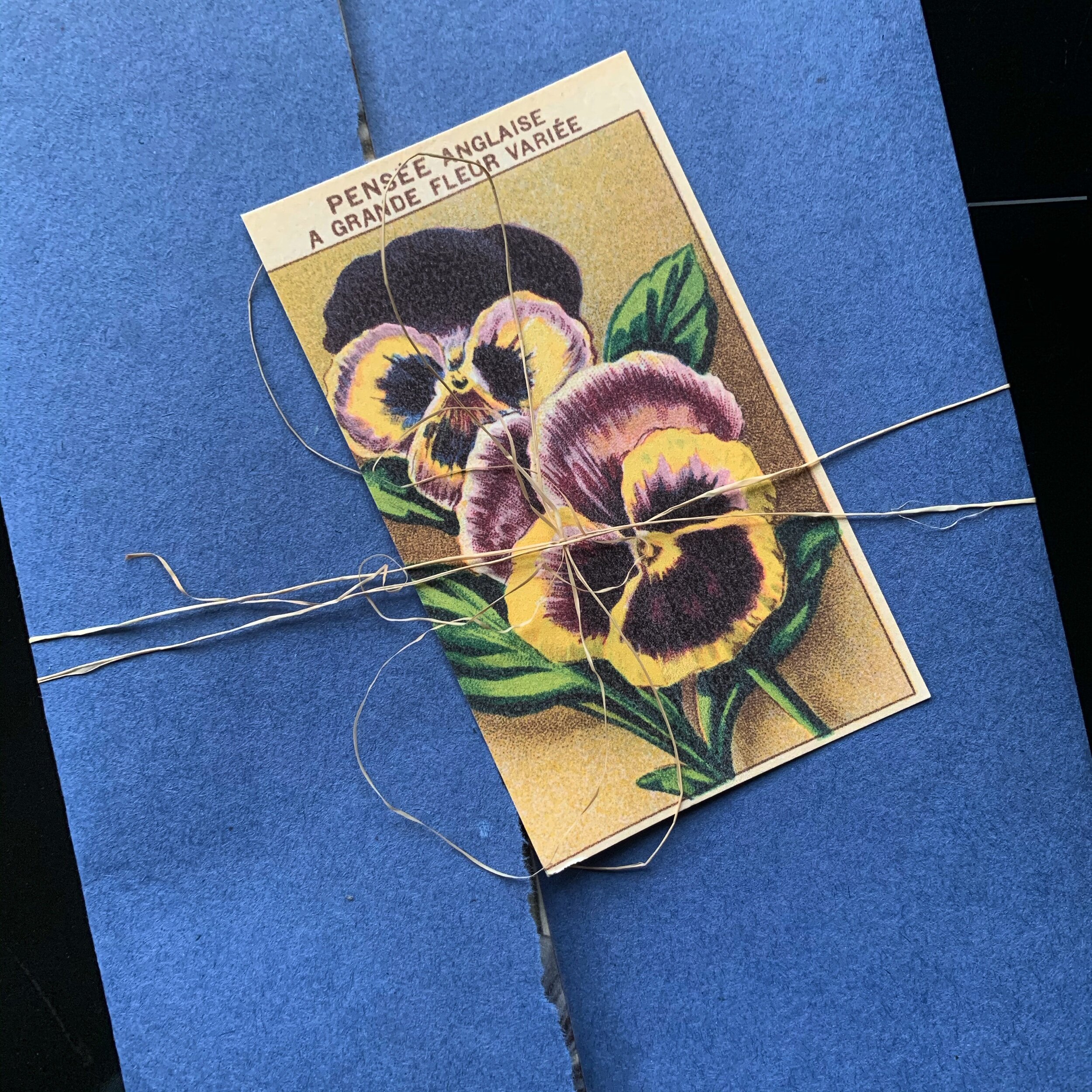 45AFFAA5-8D3A-431D-B3F1-18BC5416C83E