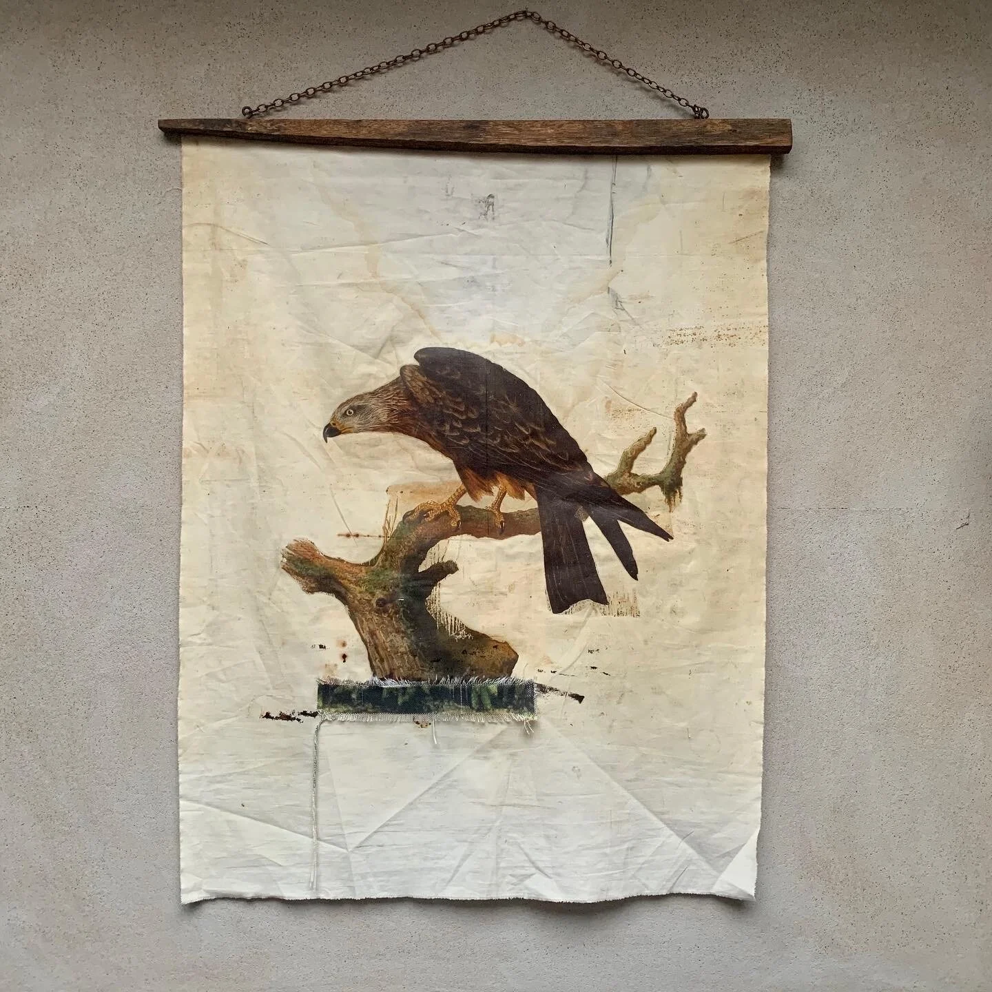 Bird of Prey