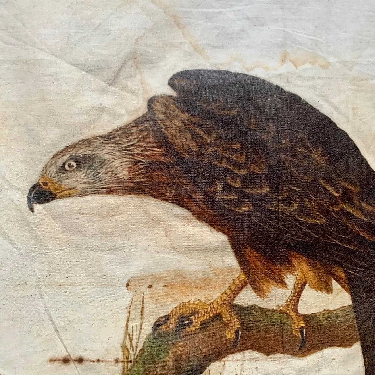 508ADBA8-C348-484F-B53E-4C53220BE854