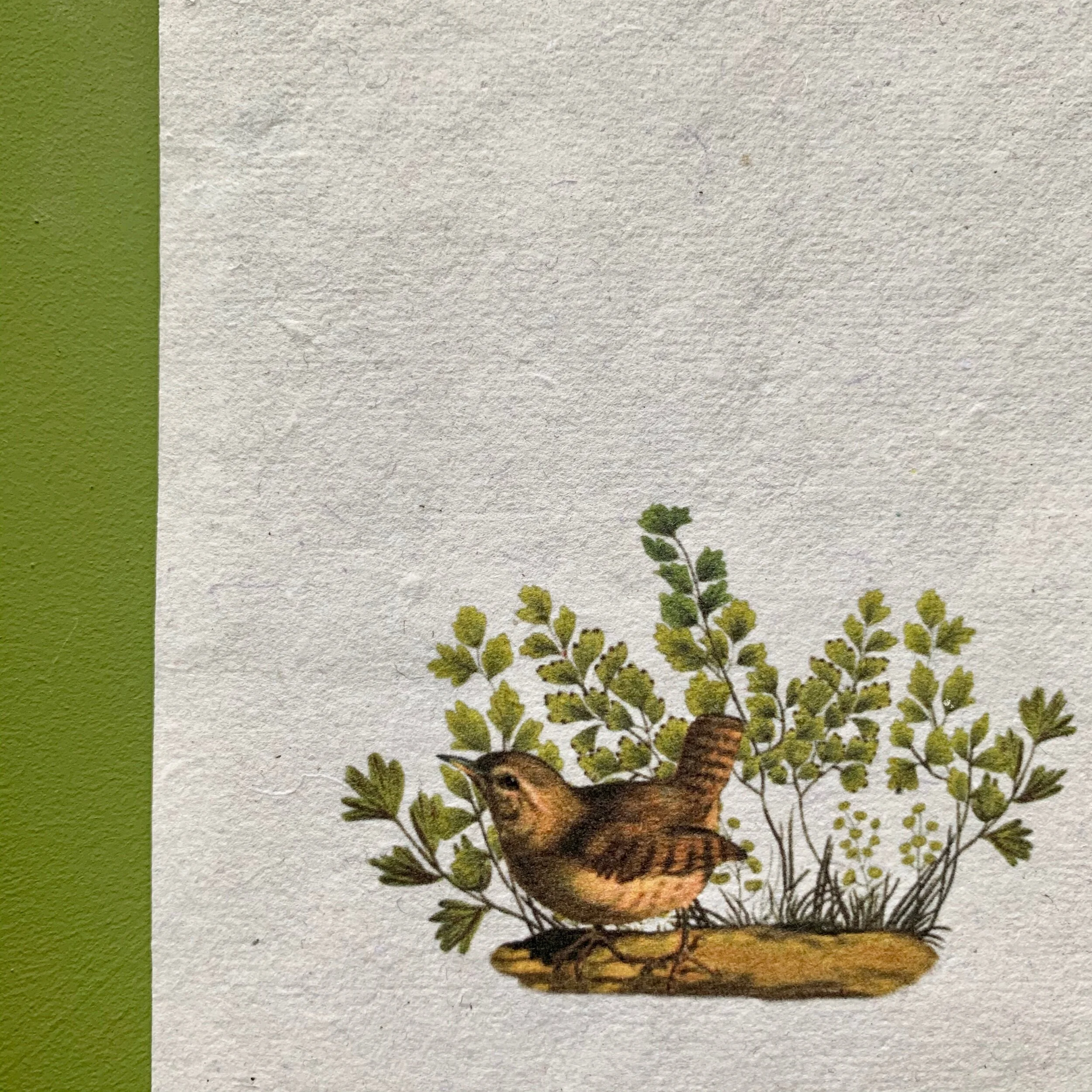 39B1270B-3A3C-4707-A0A5-7300EE3B1A15