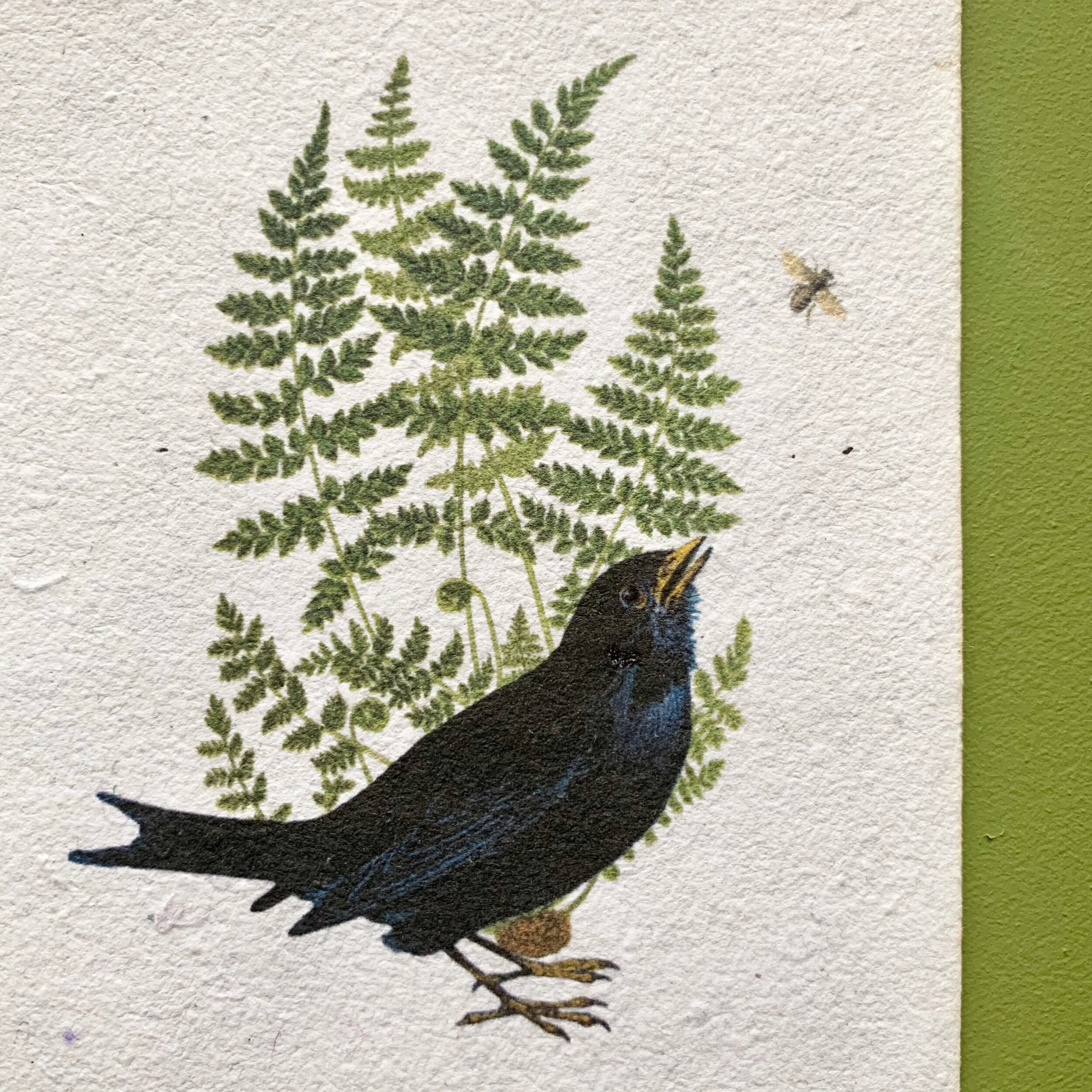 5D5E222C-08D0-41A7-9ABD-8A8D5884C0AA