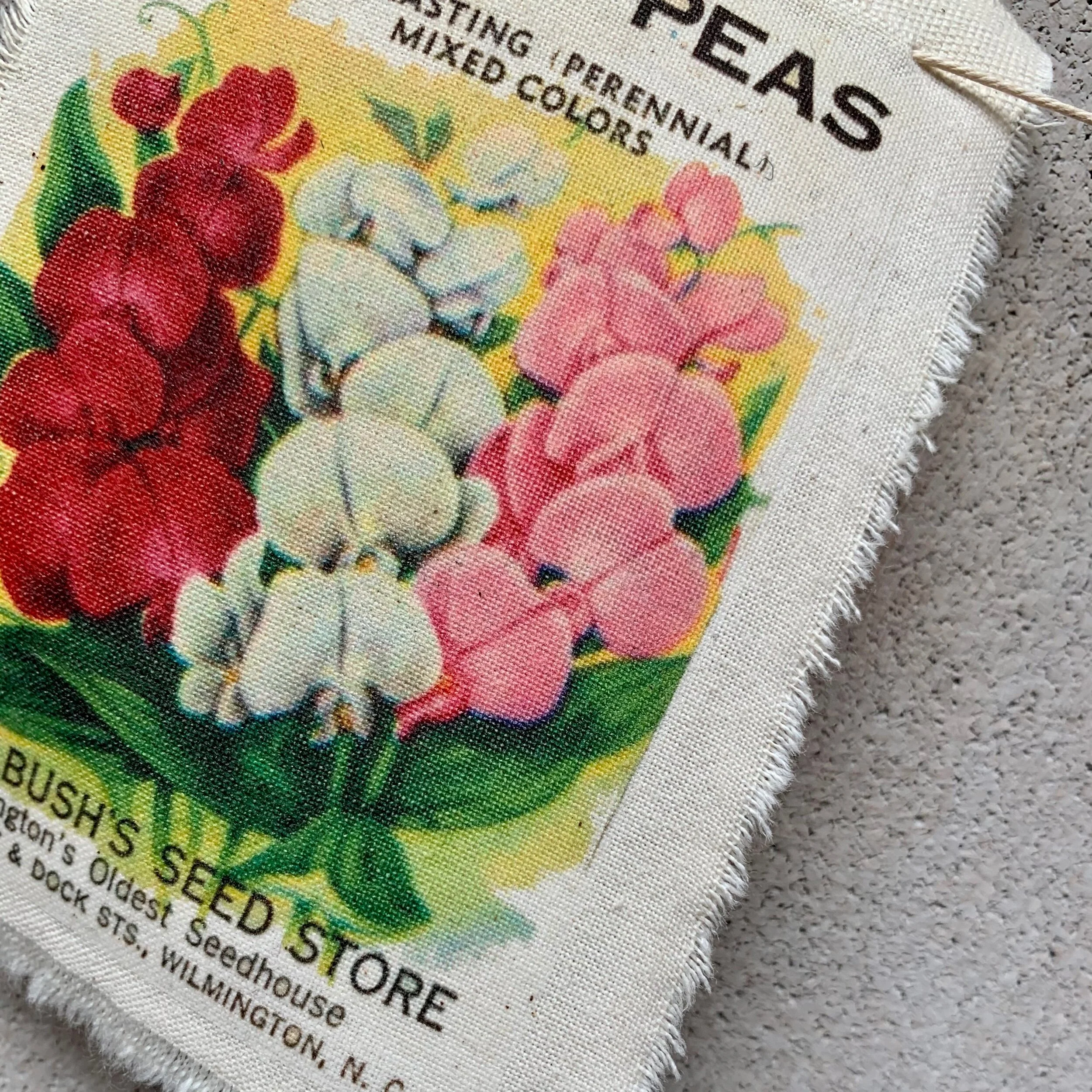 EDACDEB8-E3CC-41A3-A9F4-57B265859EC5