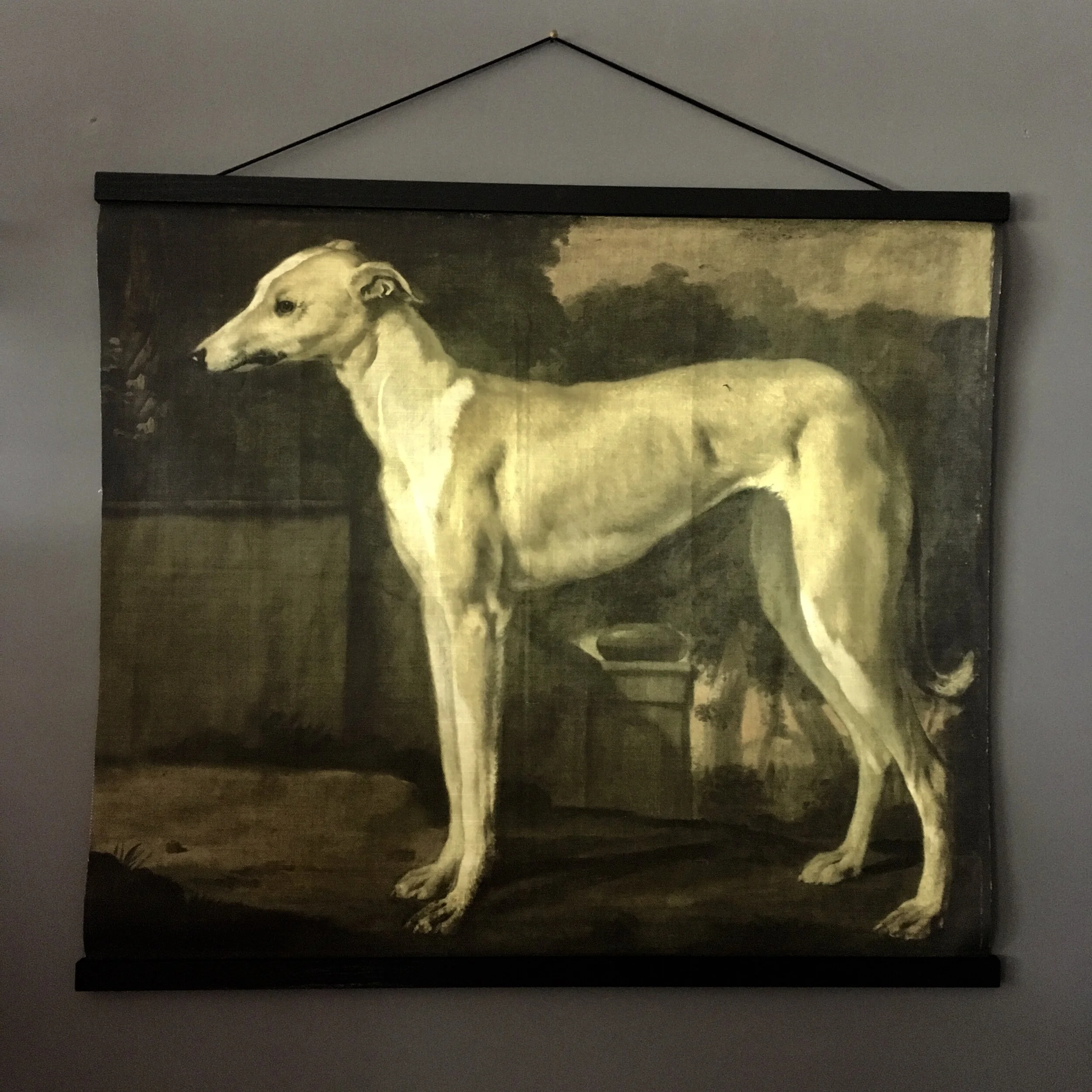 Sighthound / Whippet / Greyhound print