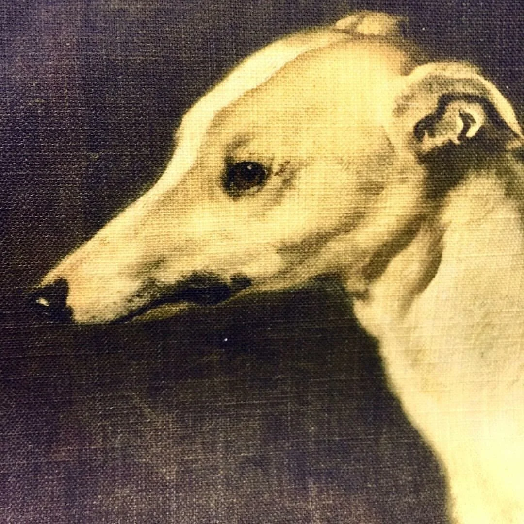 whippet-artwork