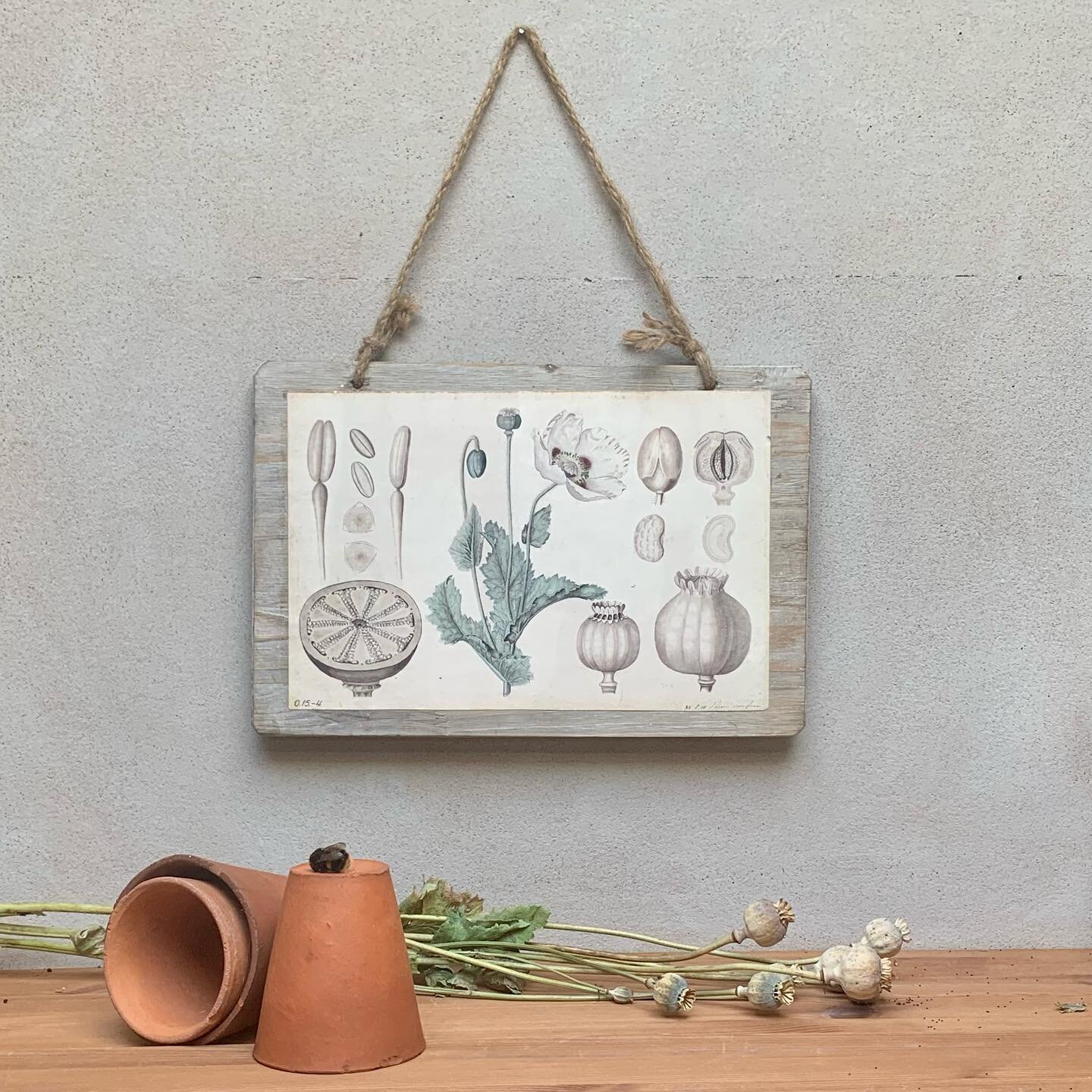 Kettle of Fish Designs Sustainable Vintage Style for Interiors