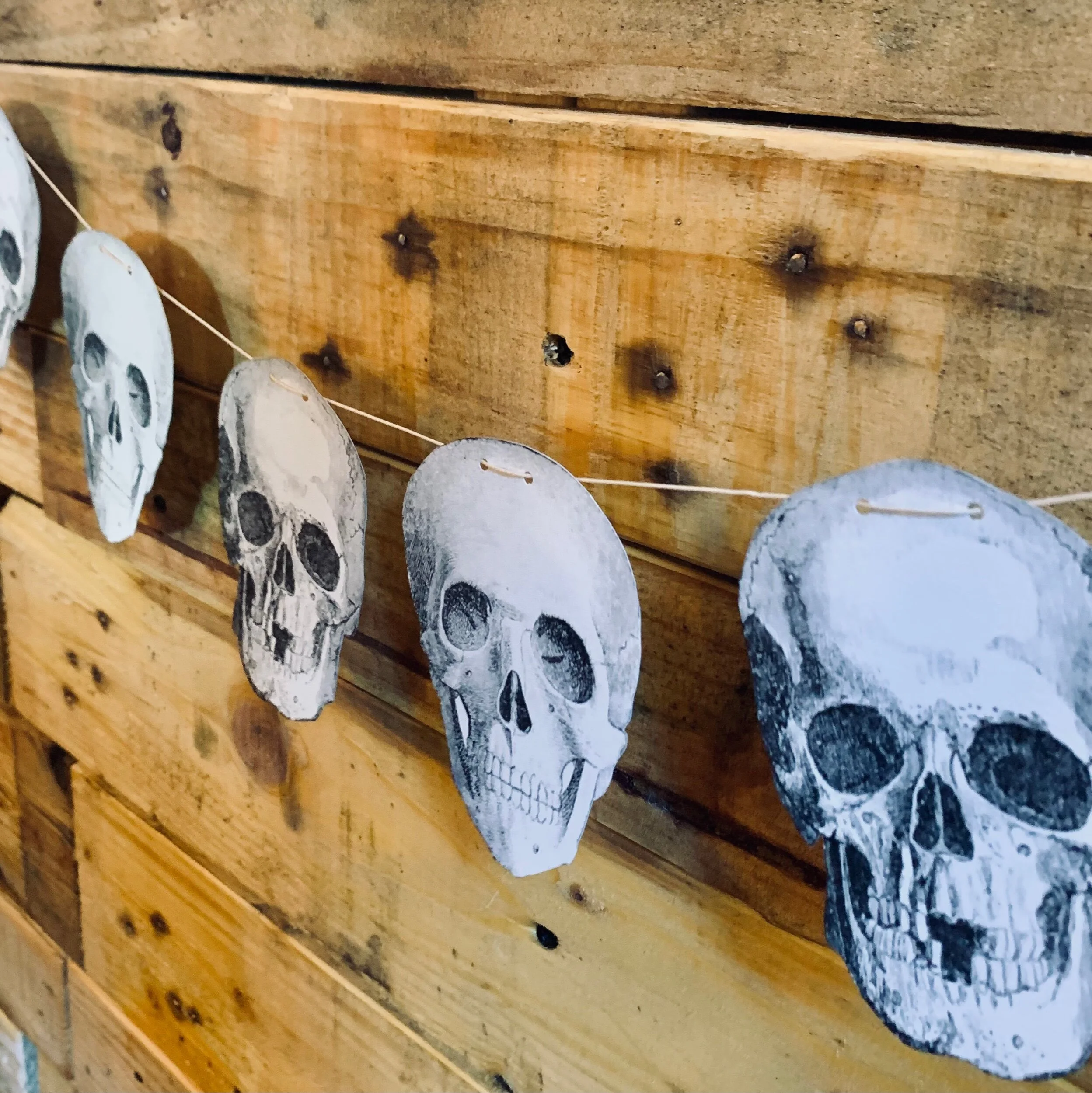 A6FAB935-FAC3-4E80-9810-3695D20B06DB