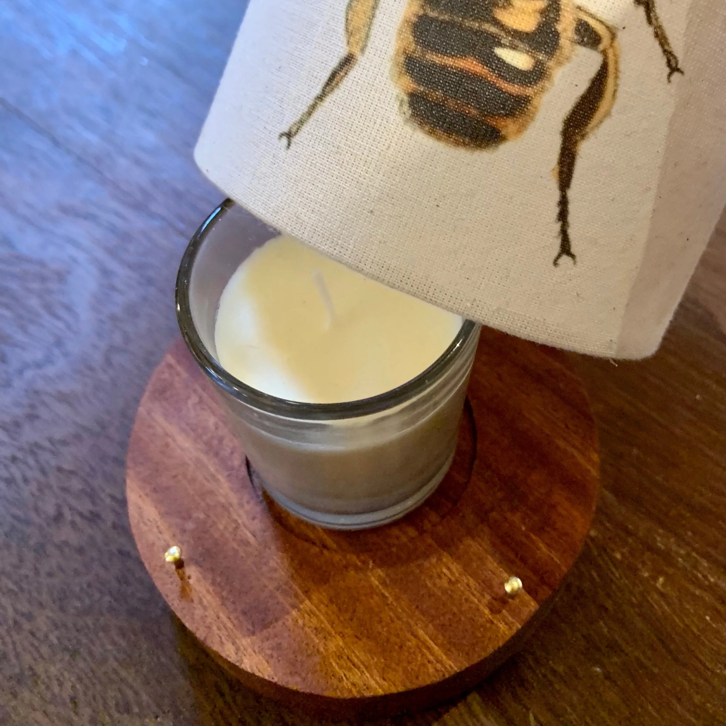 51C6109F-E8E5-4420-B9C8-1D565655482A