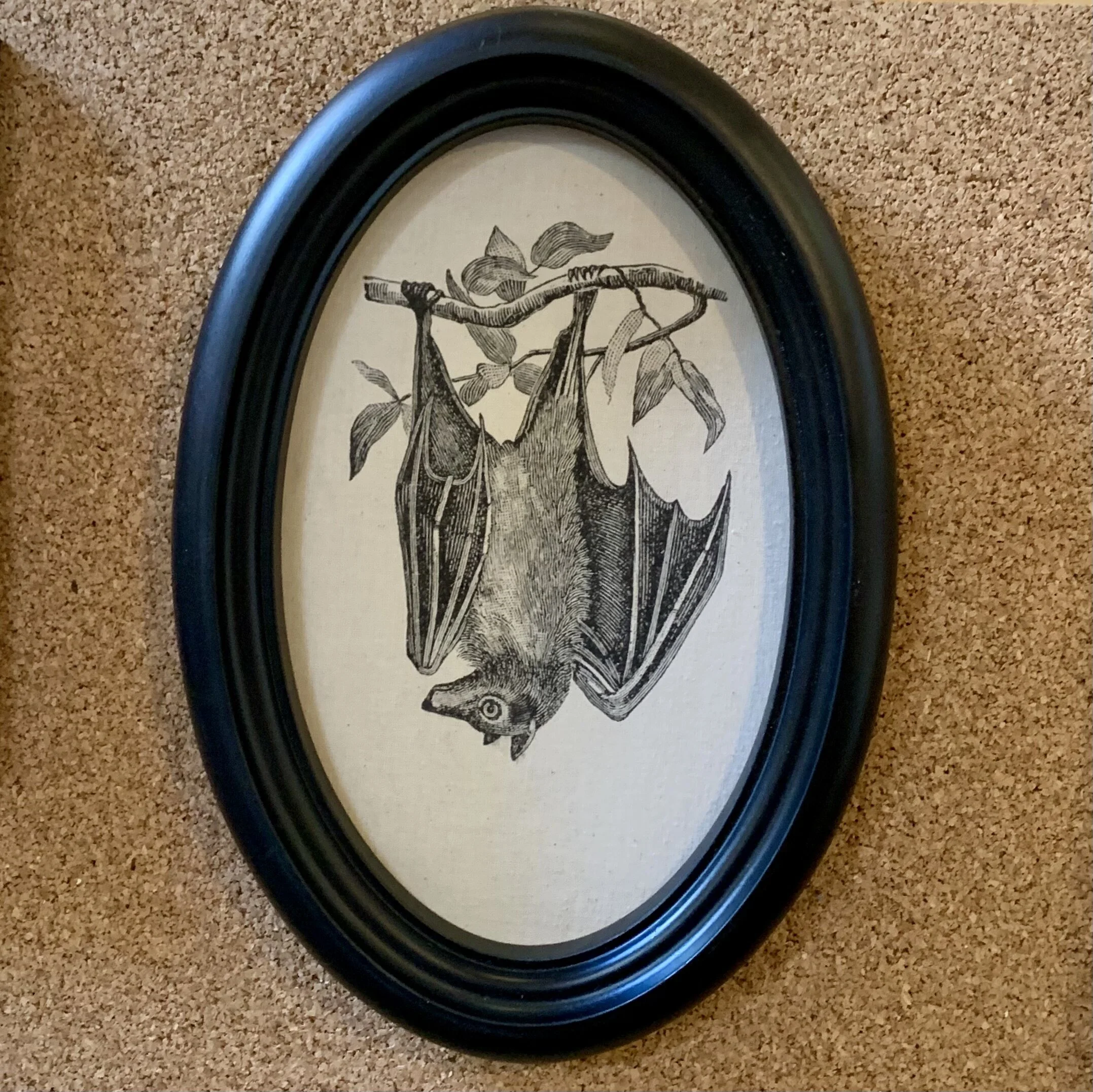 Oval framed bat print