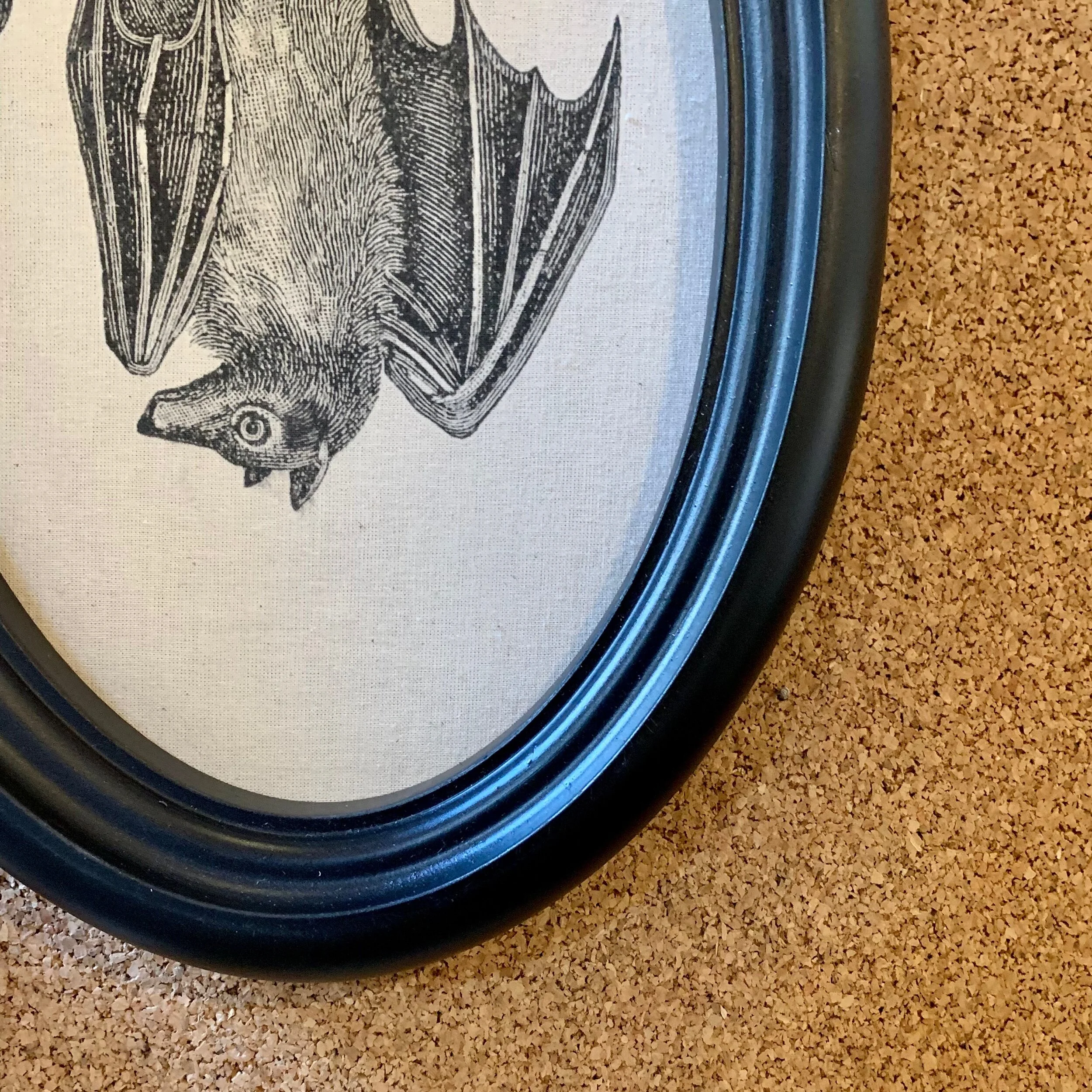 BA09A515-4BBF-4F5F-BF75-8EC708A085EE