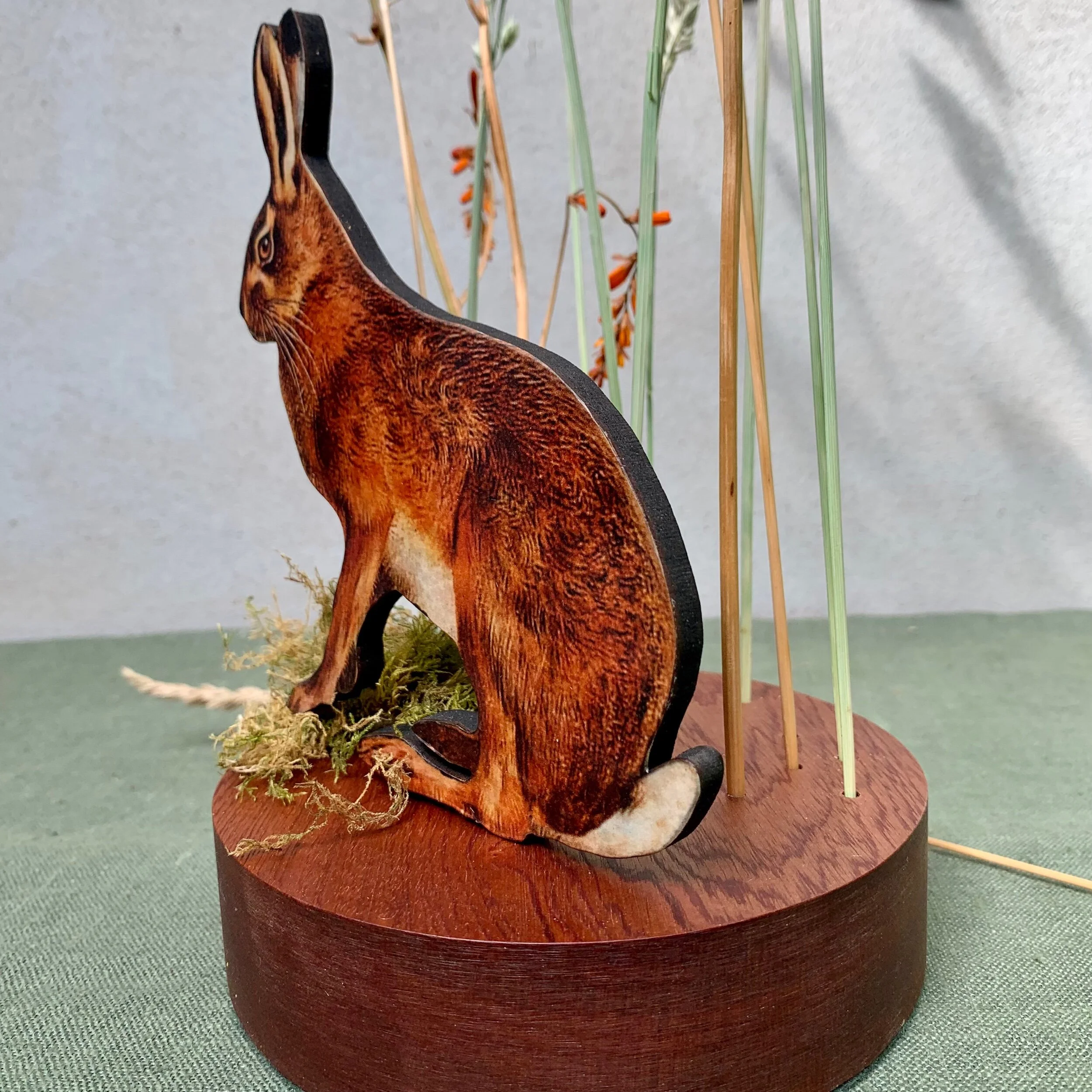 8DD7C171-523F-4EEA-BAA7-A3F7625F04B2