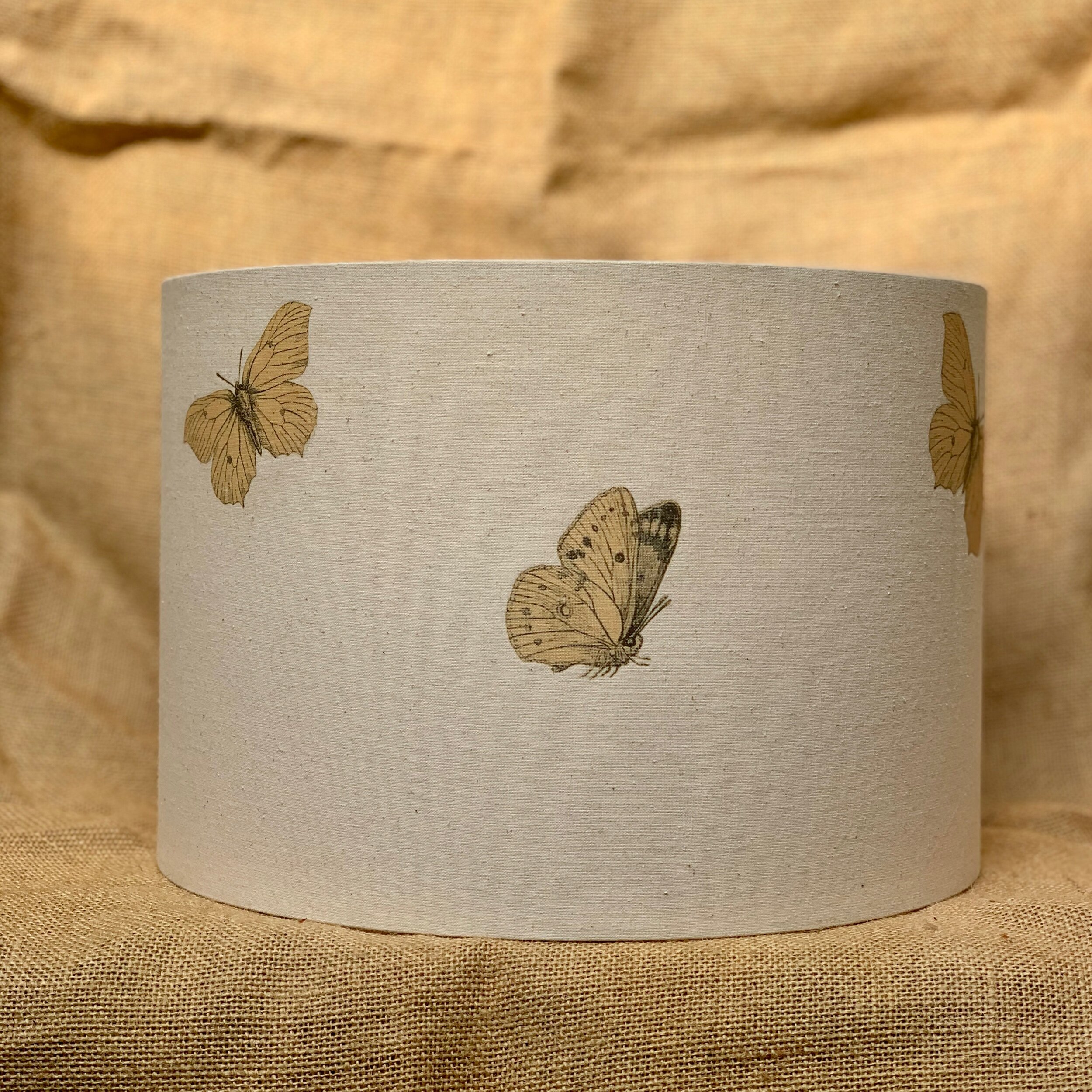 D4EB47A0-618A-4FAC-81DA-1A55363ECE97