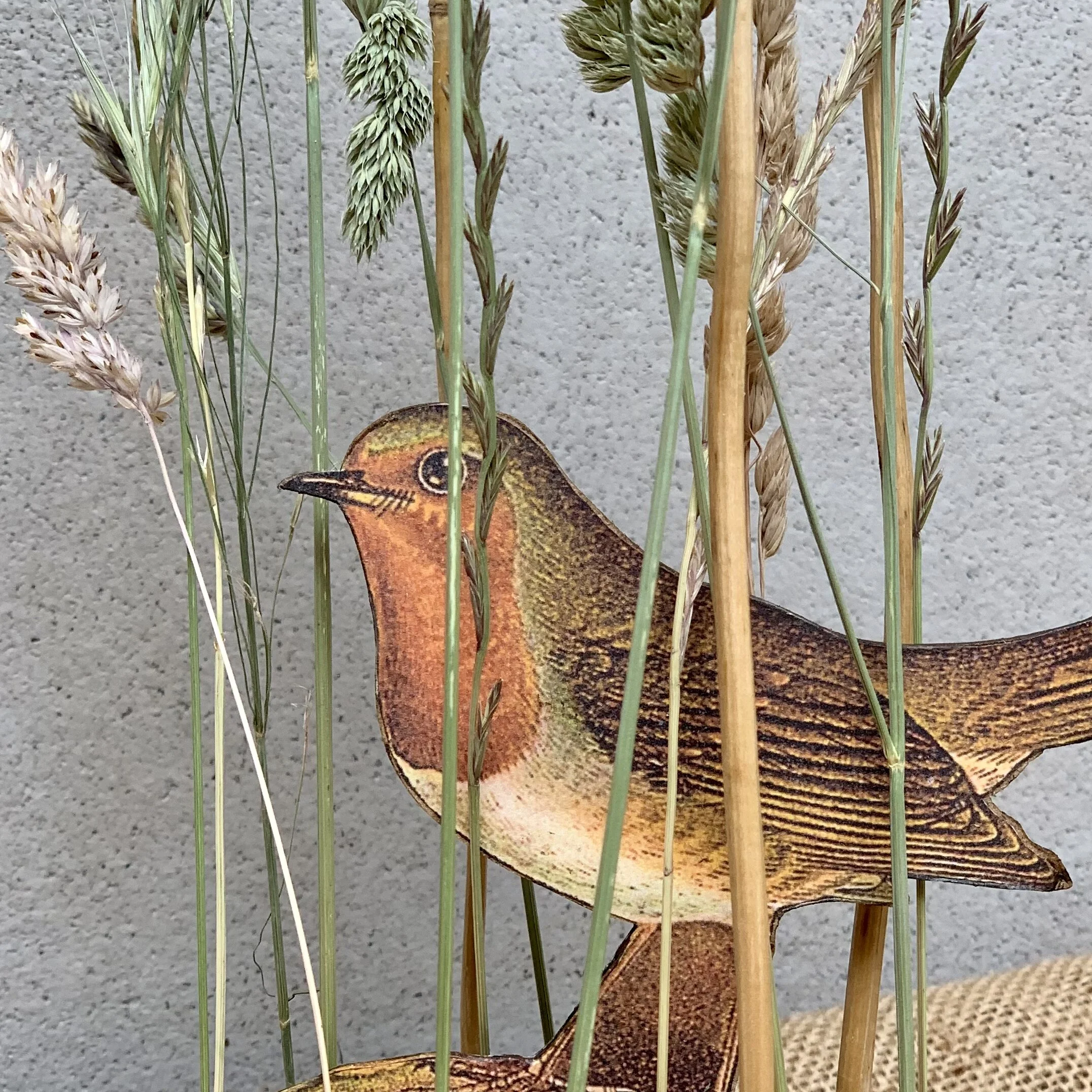 47240FA6-1C56-4571-8313-49111FC19AEC