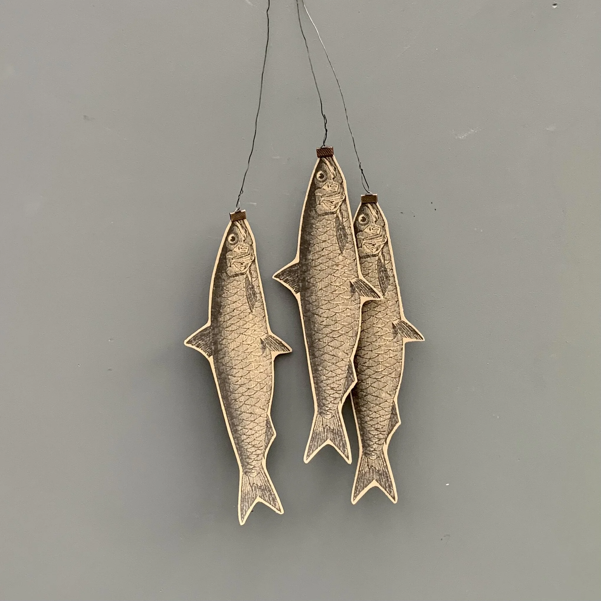 Three little fishes