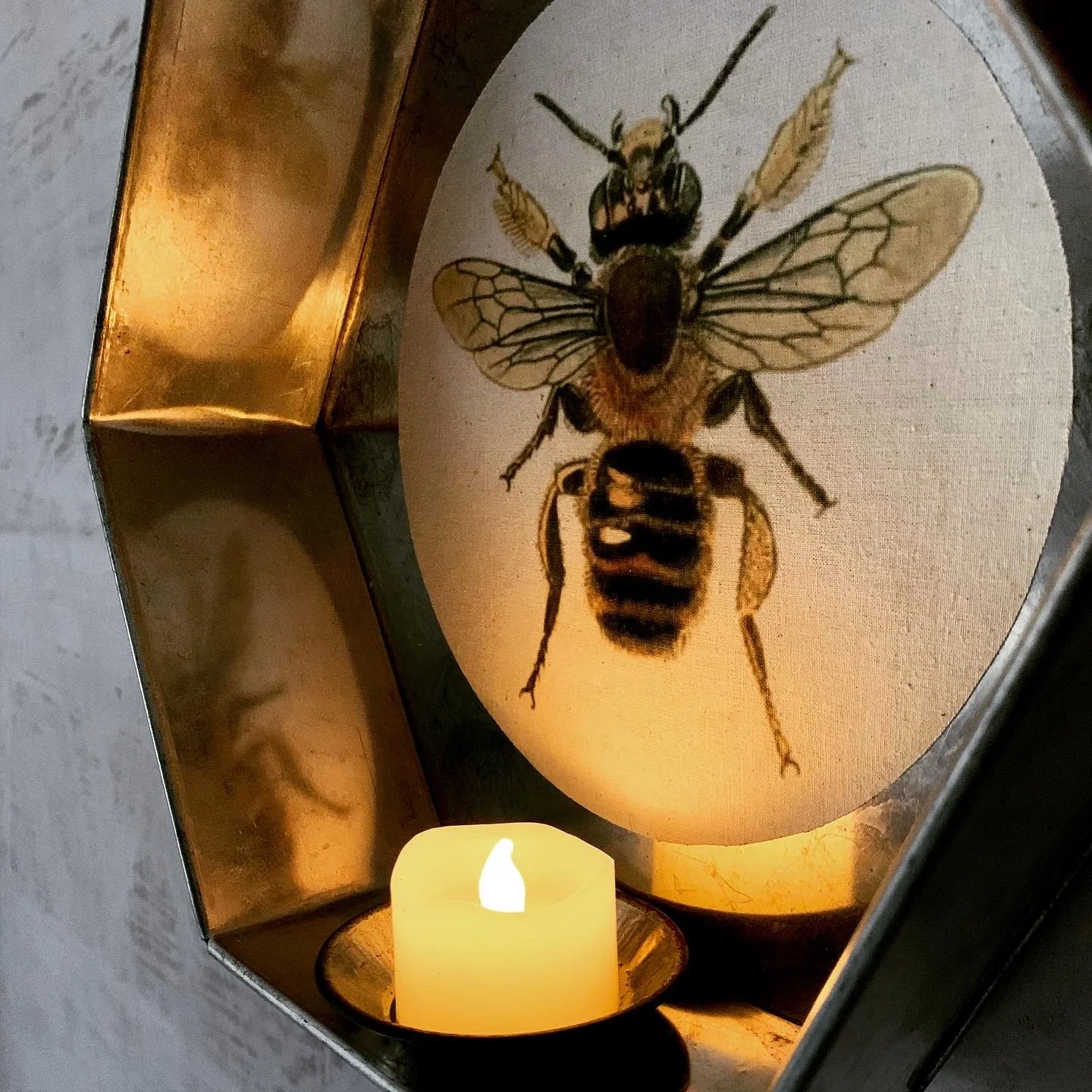 Kettle of Fish Designs Eclectic Vintage Style for Interiors