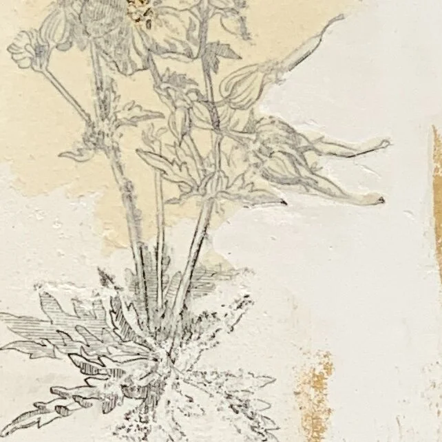 F090832D-A935-4AE7-94C8-97683C96647F