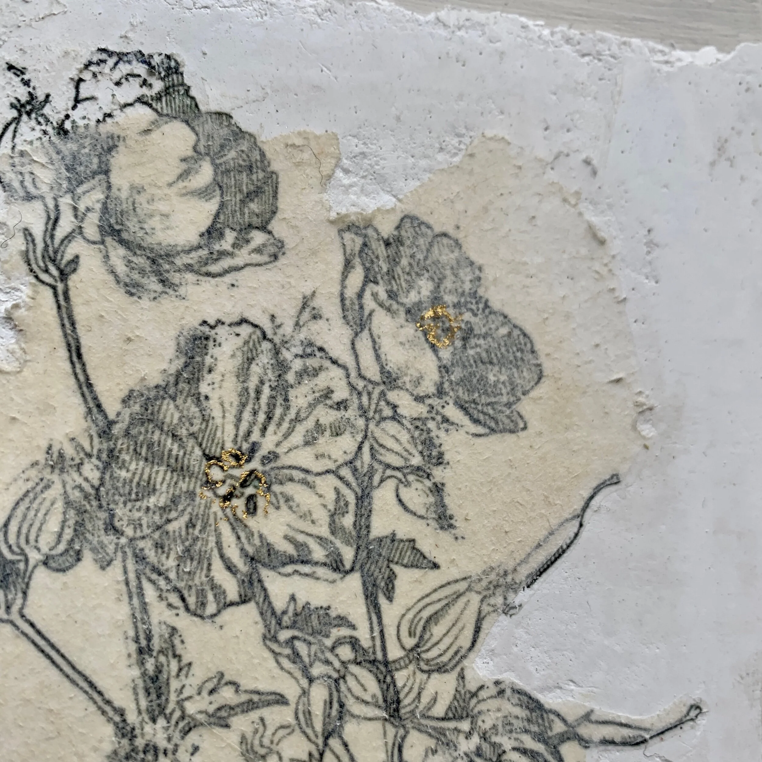 4A31F147-7554-4E29-9211-A2DF52FFADE0