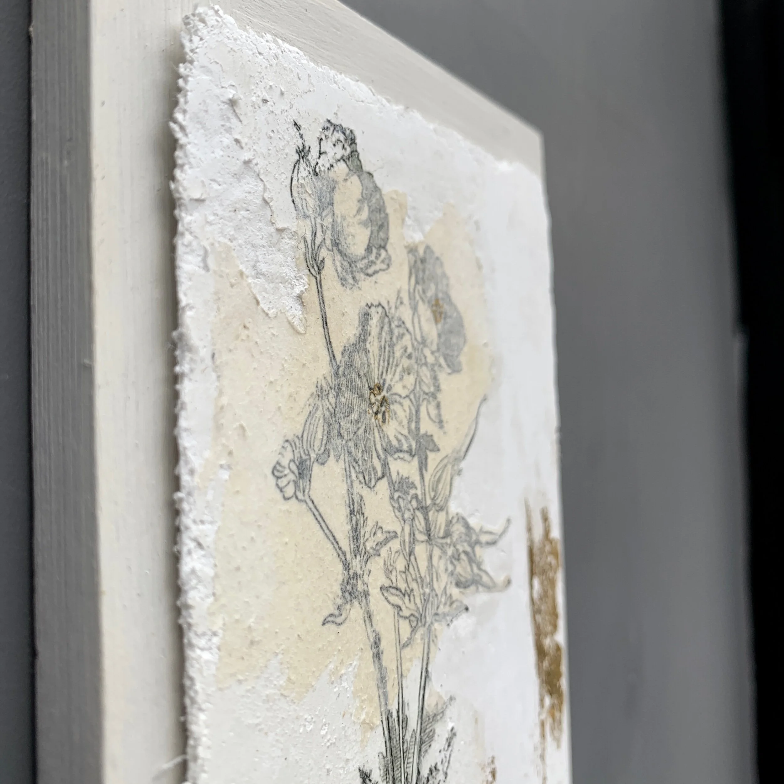 A63268FD-8F62-49B5-9E3F-DBB47B81C65D