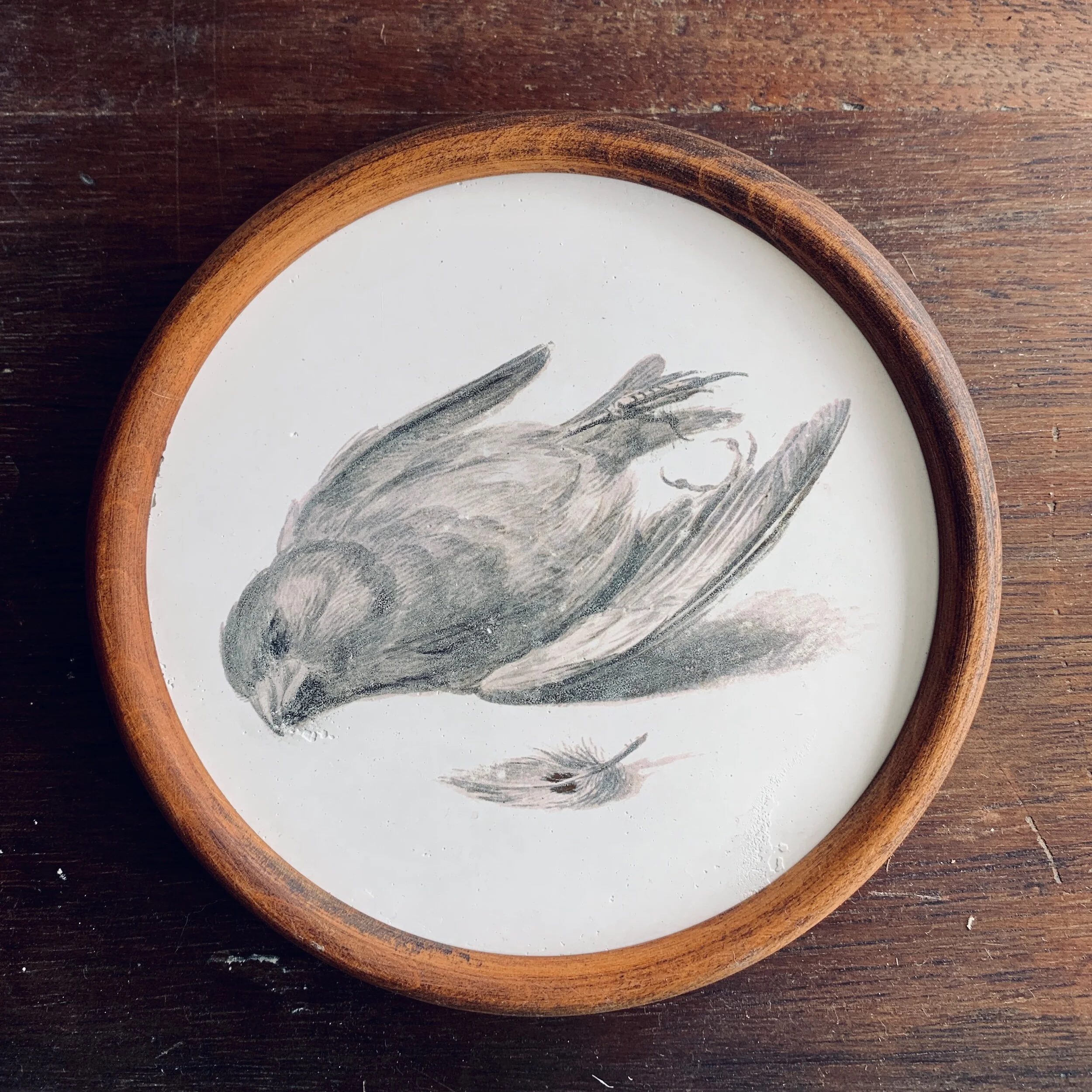 C94FED6C-AA3F-47EE-A20D-4AF9DA49E6E3