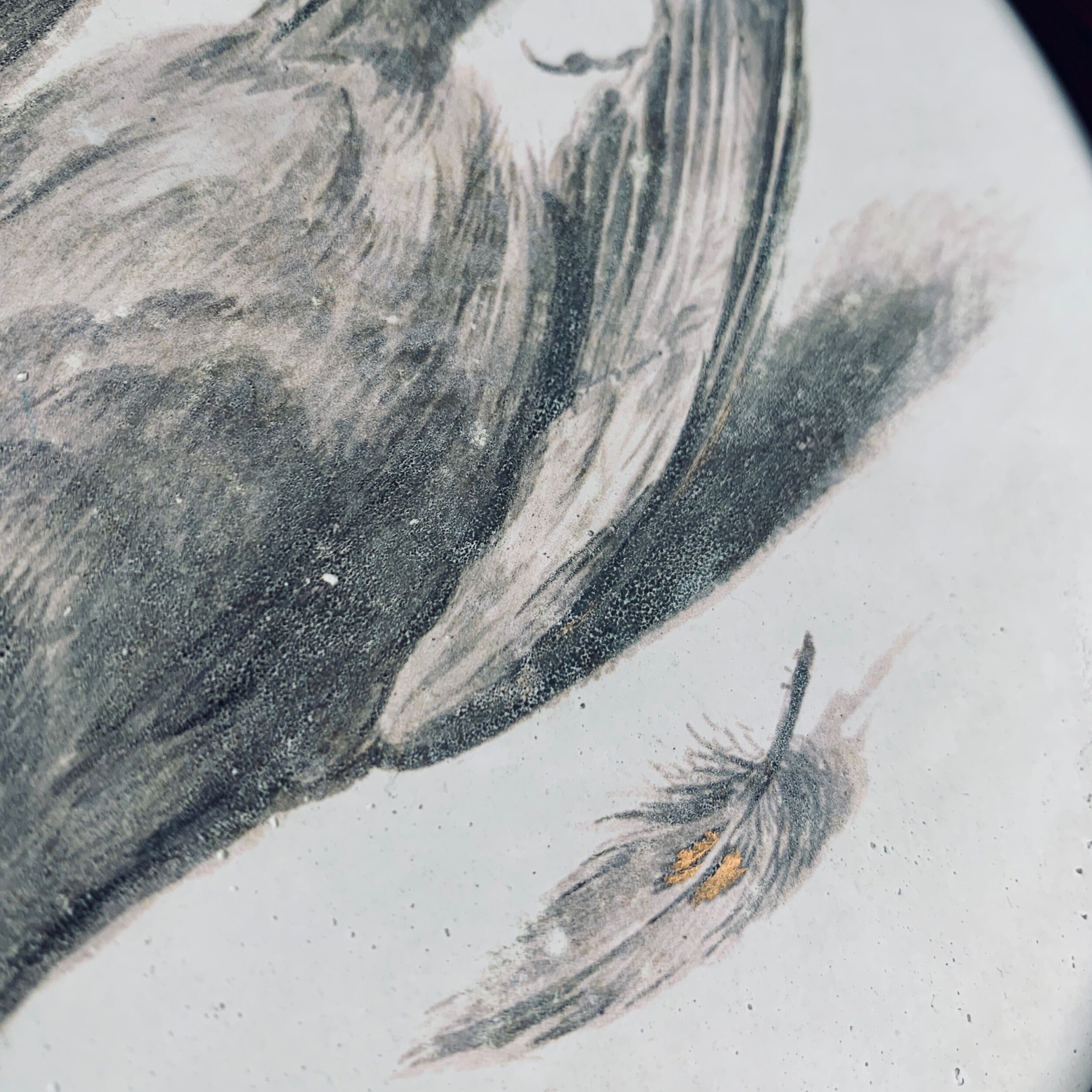 45C567F0-3134-4EA3-881F-F9D9811C6BAC