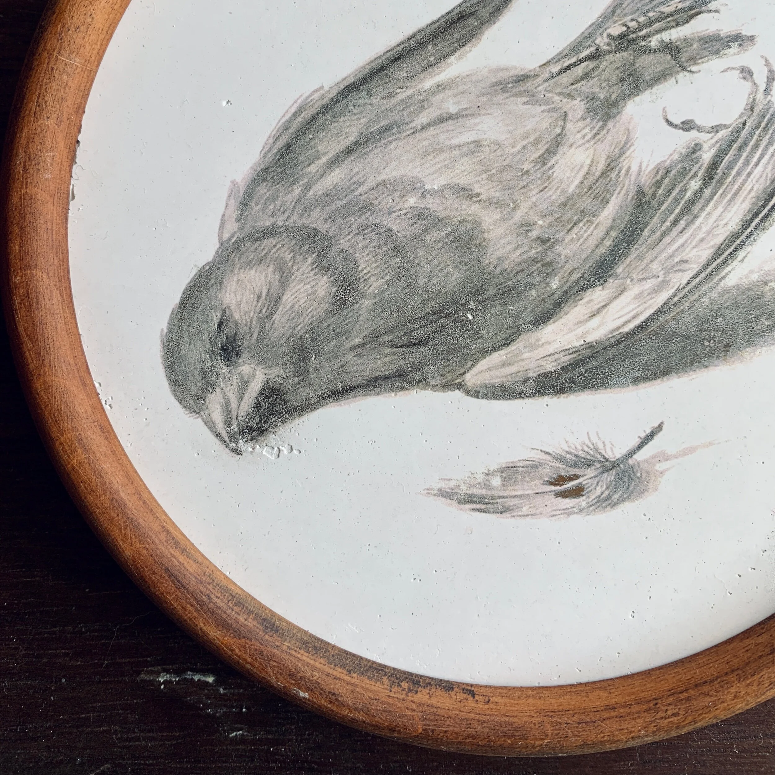 DBACBE00-9AF3-42D3-A68B-5817F5564391